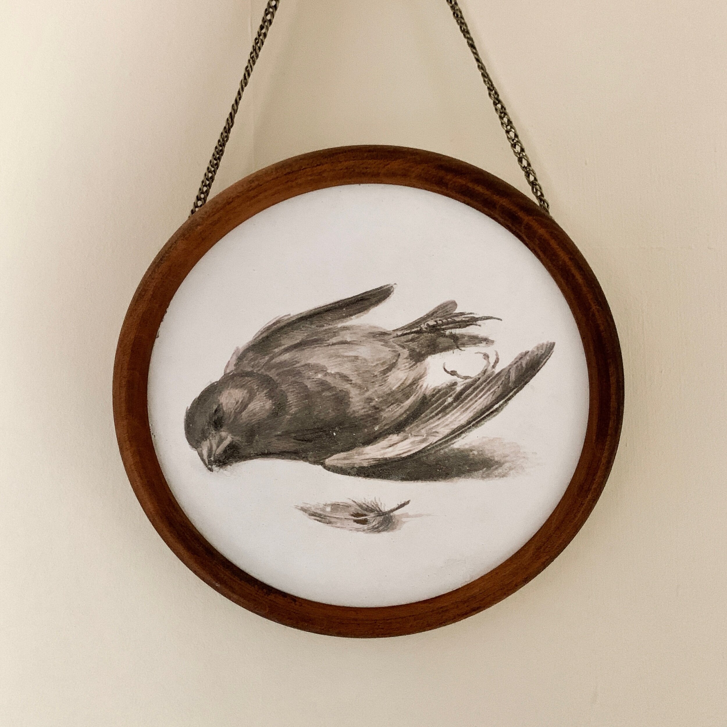 A26E91D5-E6AB-460B-81F9-AF13B5D37DBC