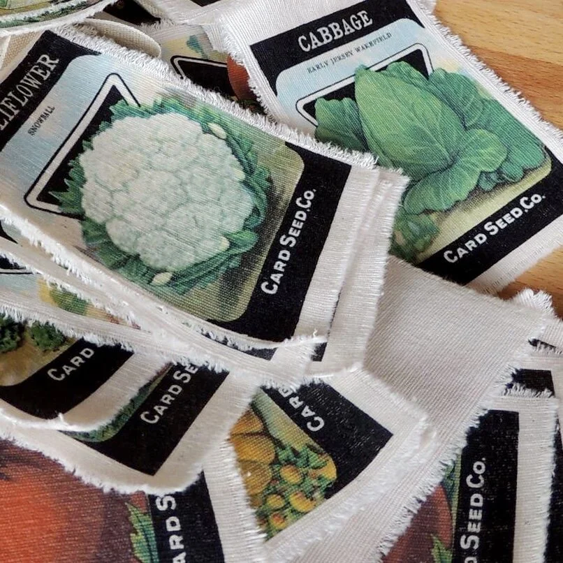 248319EB-8C3C-4CF6-83D6-B90235BBECA3