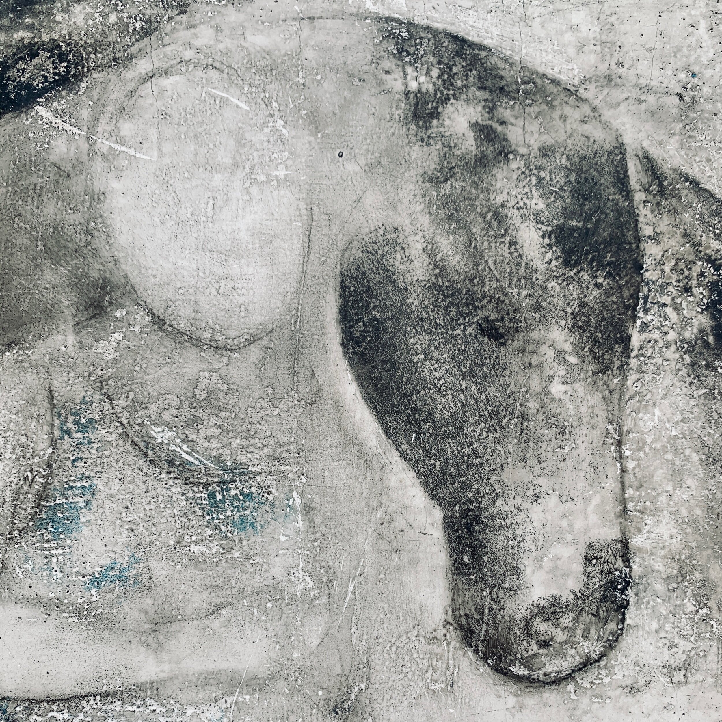 A28E59AF-64F3-4760-8A28-6F55E95D1C44