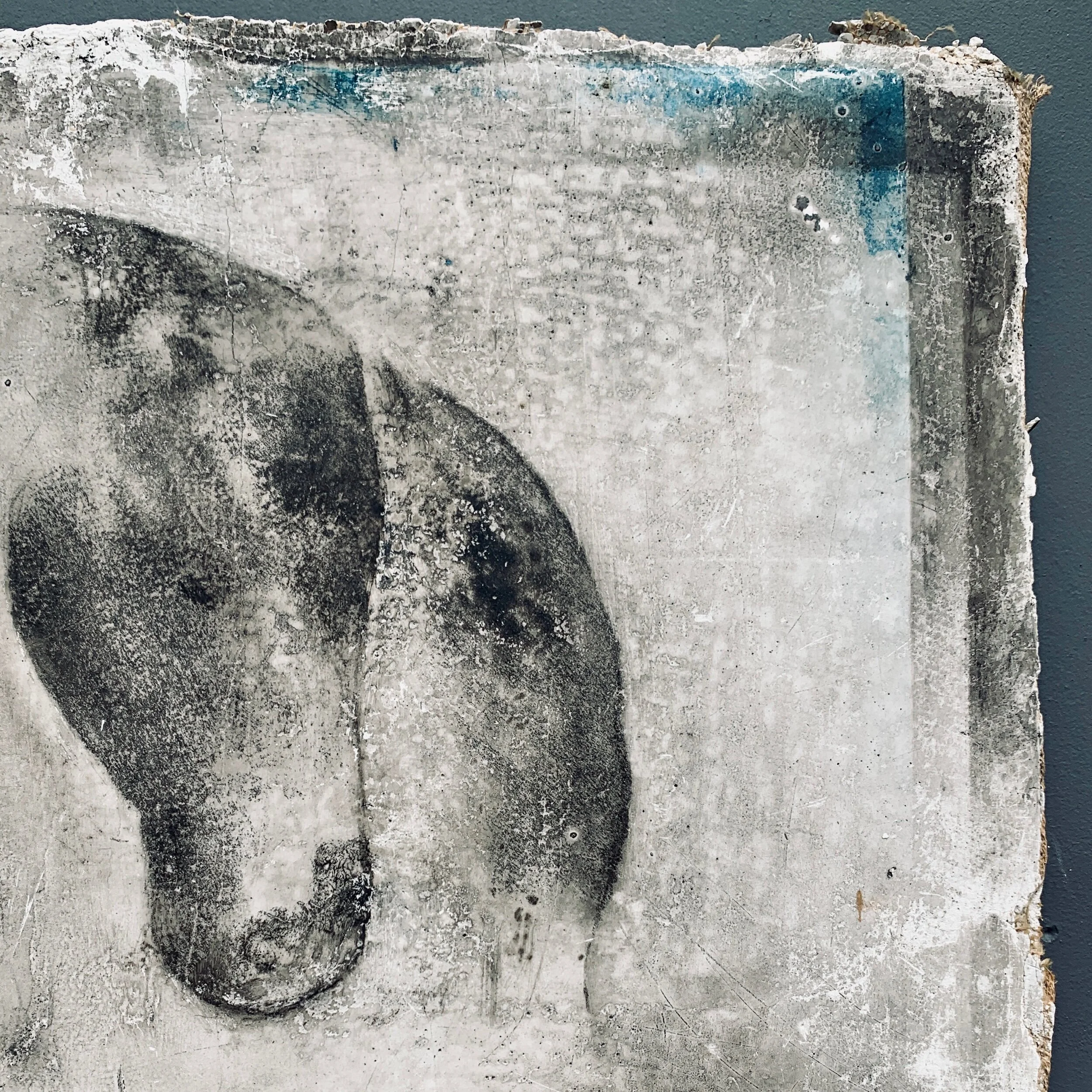 D6B03E5C-1980-45E4-9053-F75E8003A560