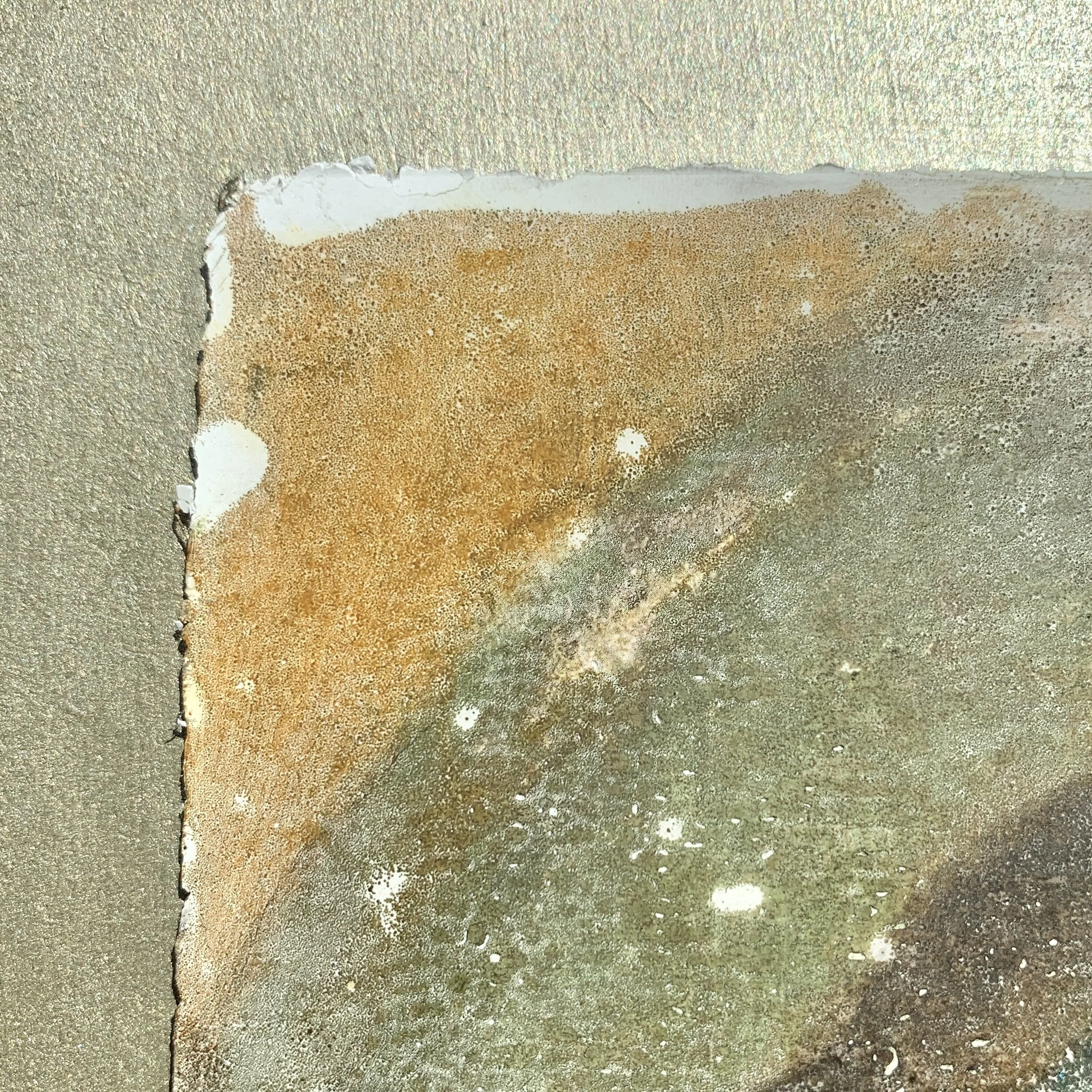 1FC4753E-6547-4E86-8F1E-DFE2C158B7BB