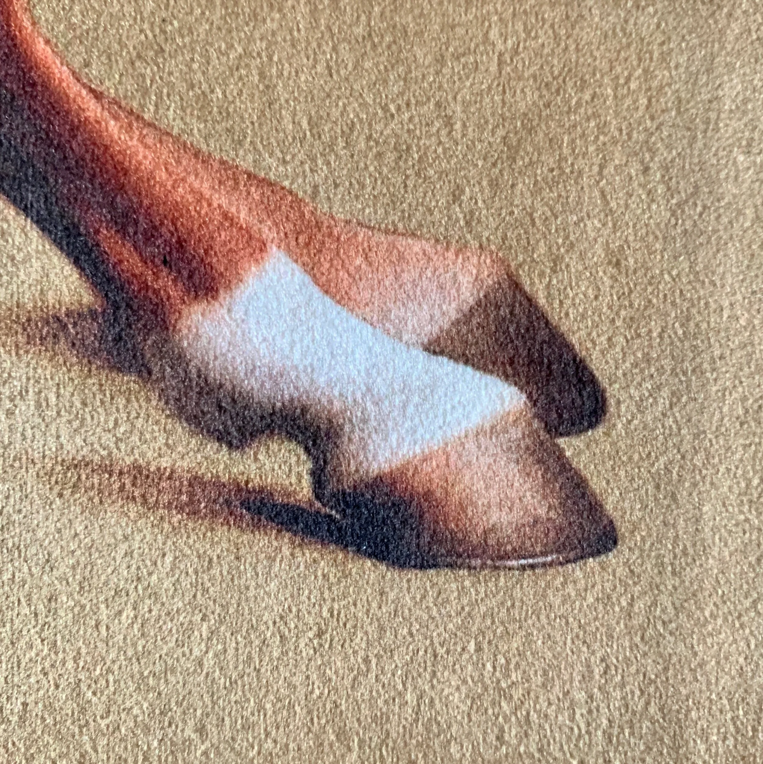 2D58EE03-C152-46E6-978B-76540BB3407B