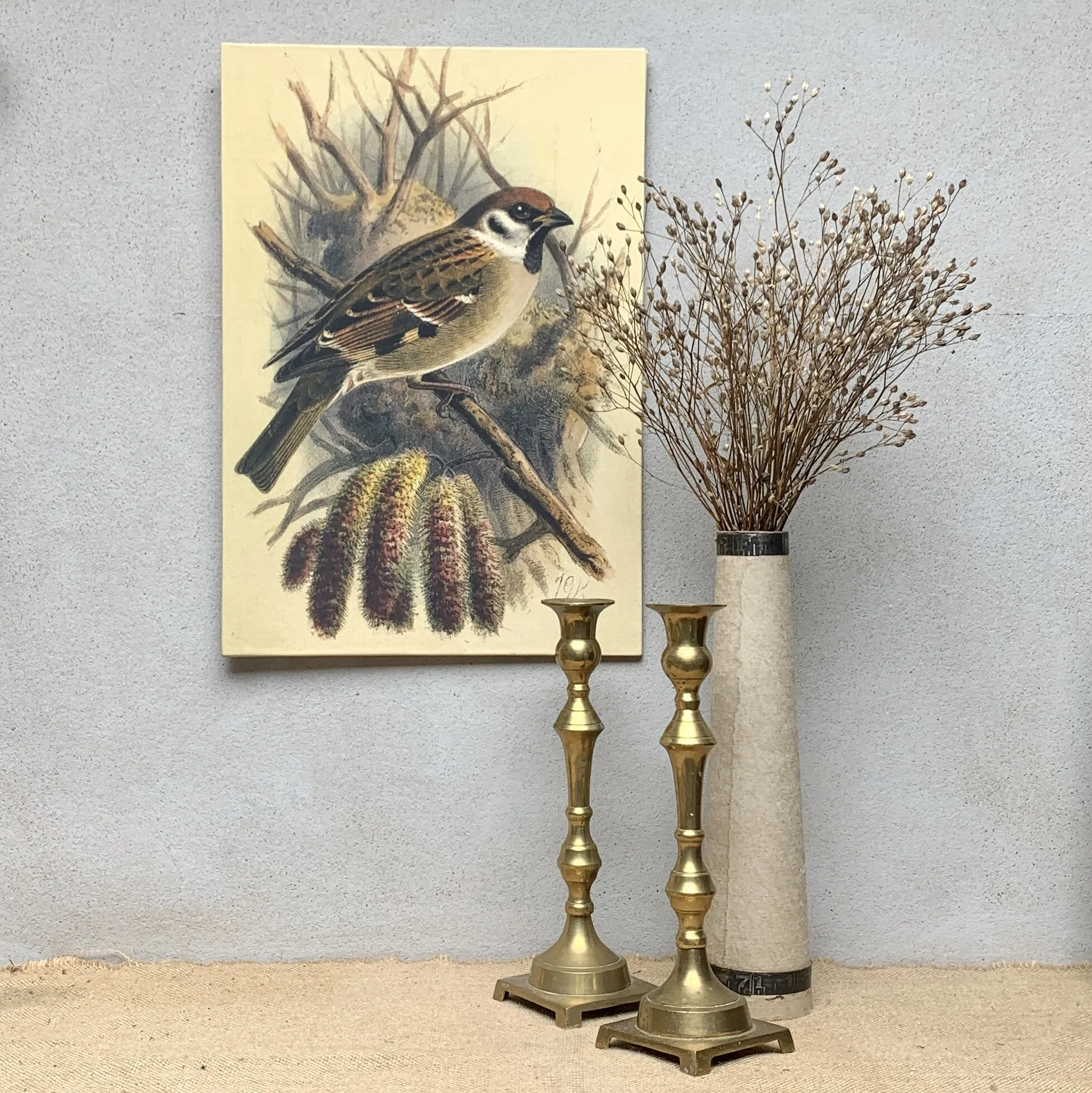 The sparrow collection