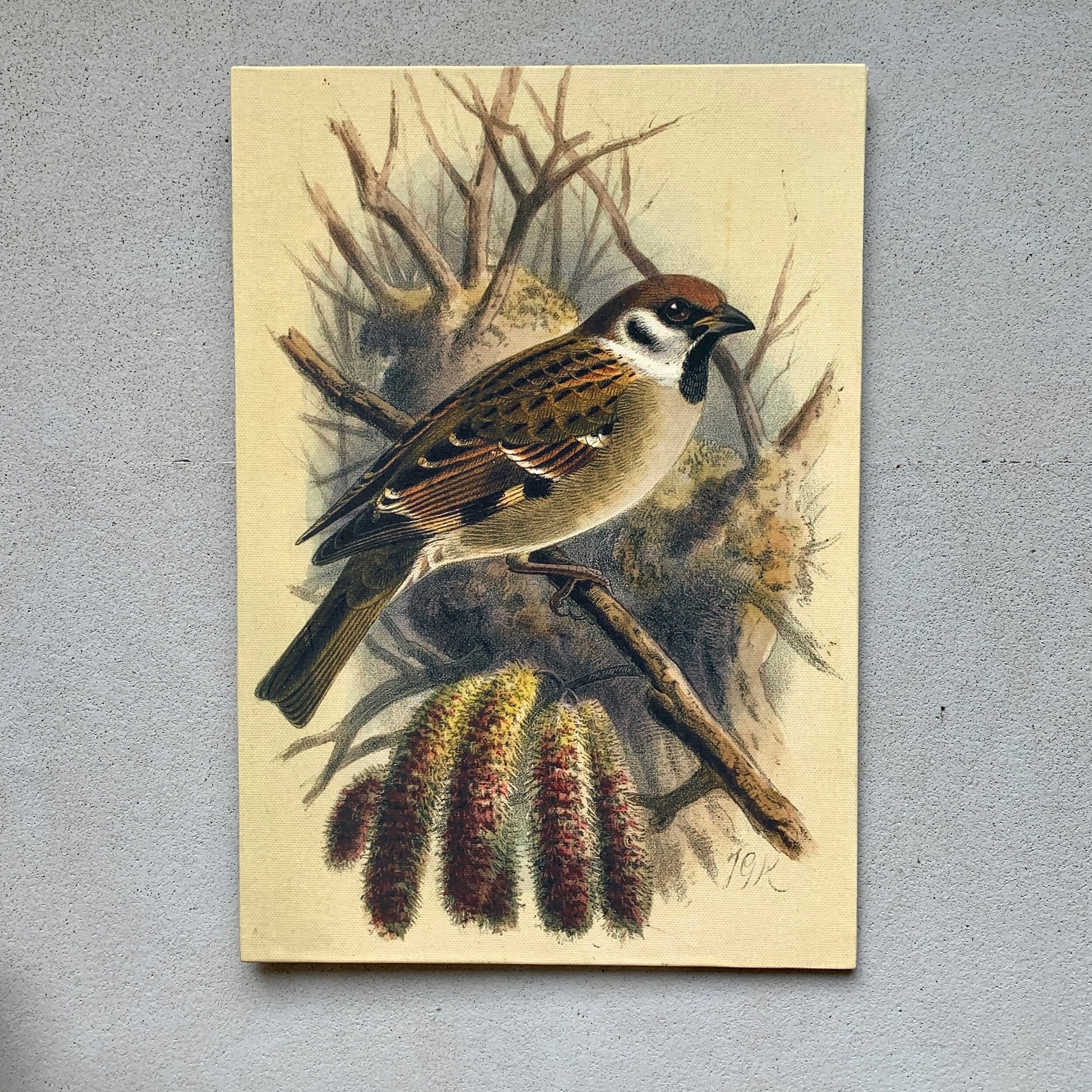 61C9F748-8551-41B9-8F43-5F7679062F7F