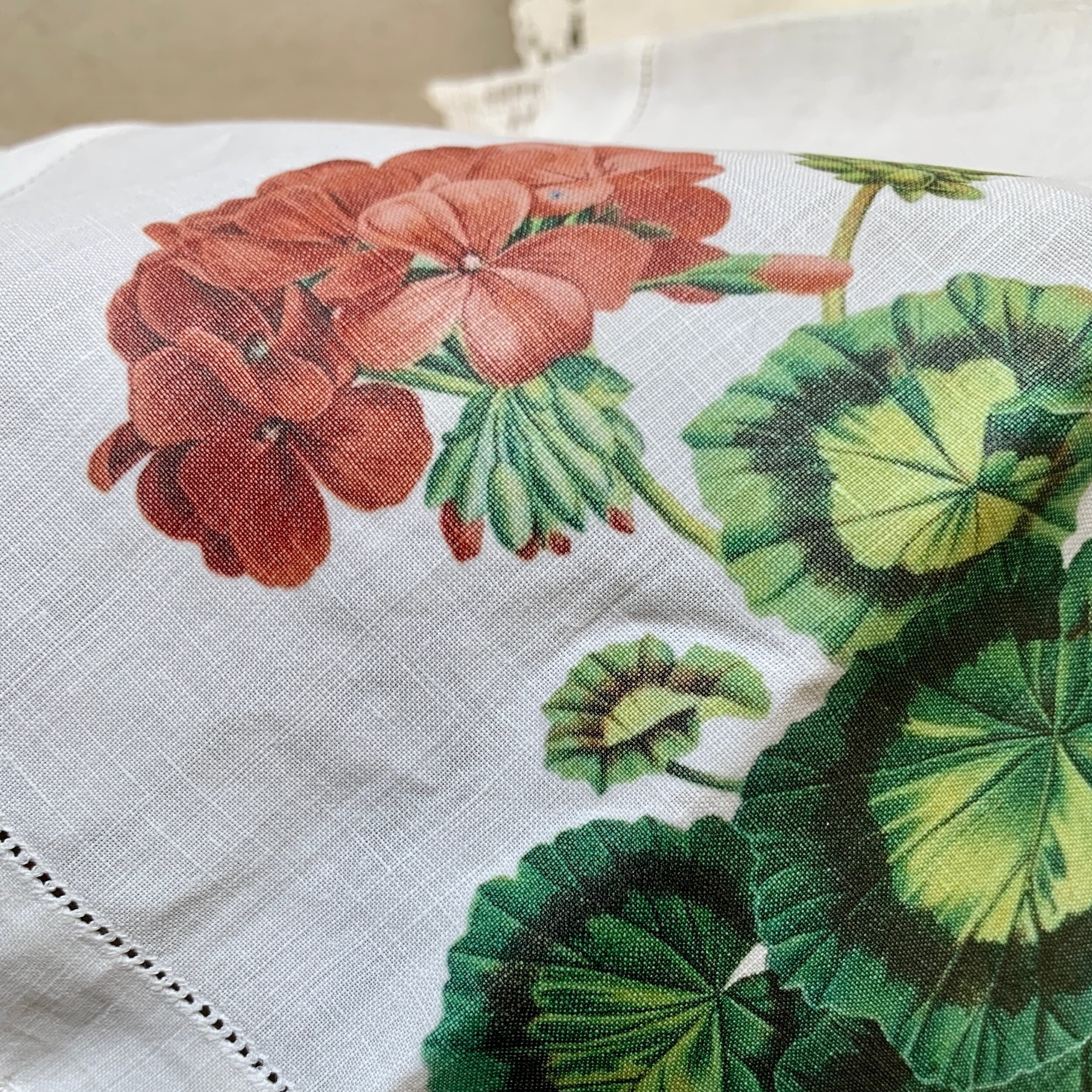 7884F208-B96D-4649-BBCE-4225B7C7572F