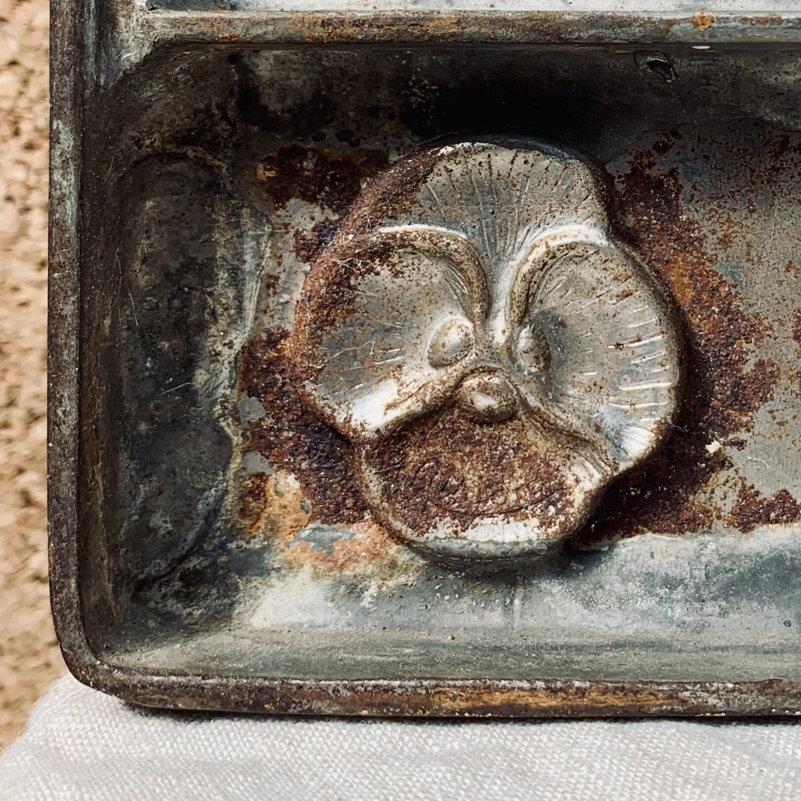 8F916FF8-8494-4D27-B7B2-92EF6A2EC6F3