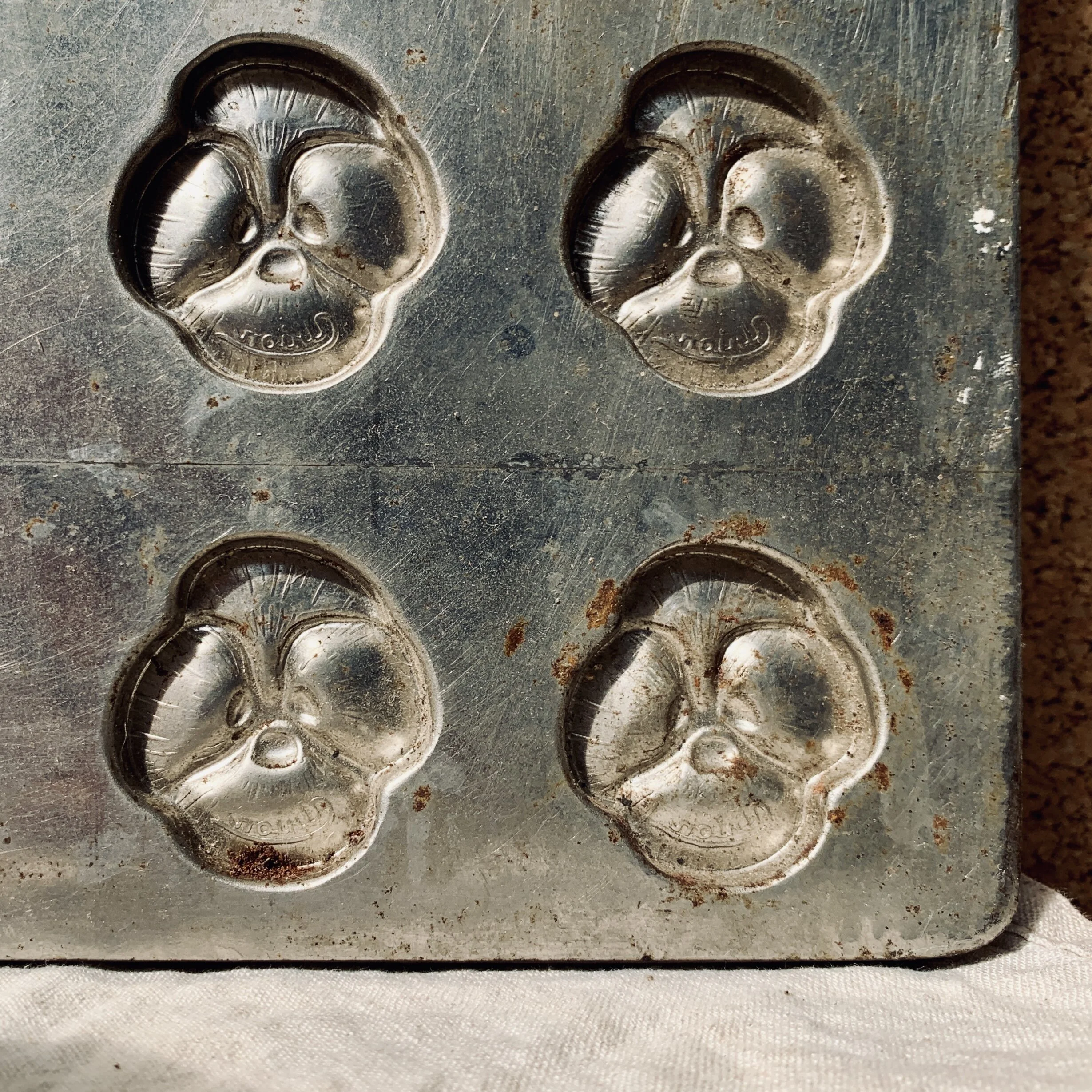 350D5F1A-4D94-47B2-9D38-E446A975A543