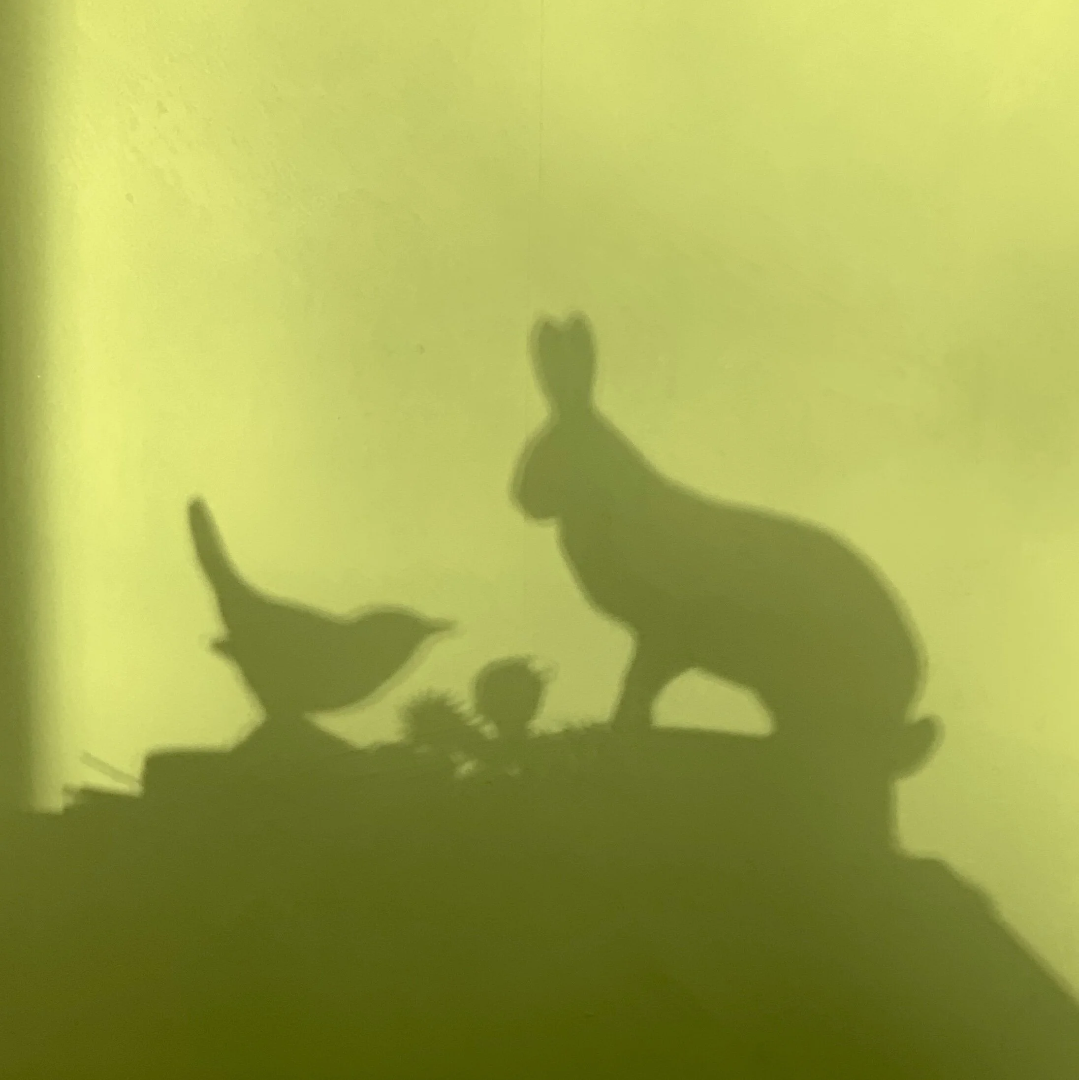 FC7DBB79-2916-426A-95DC-4F262A3D139B