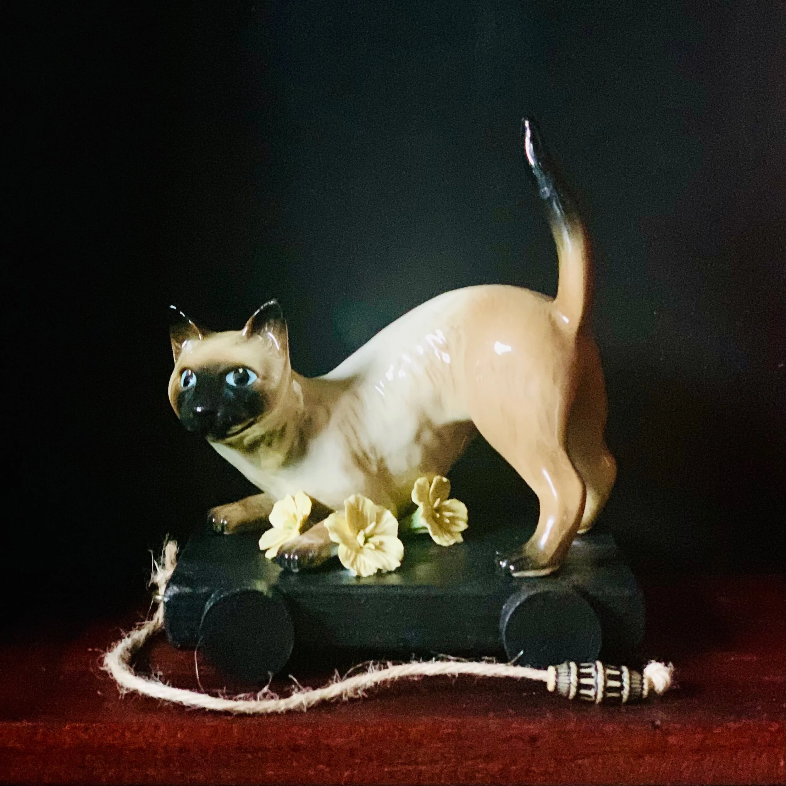 00B2FE95-F399-47D5-B97B-4A43F7BE5301