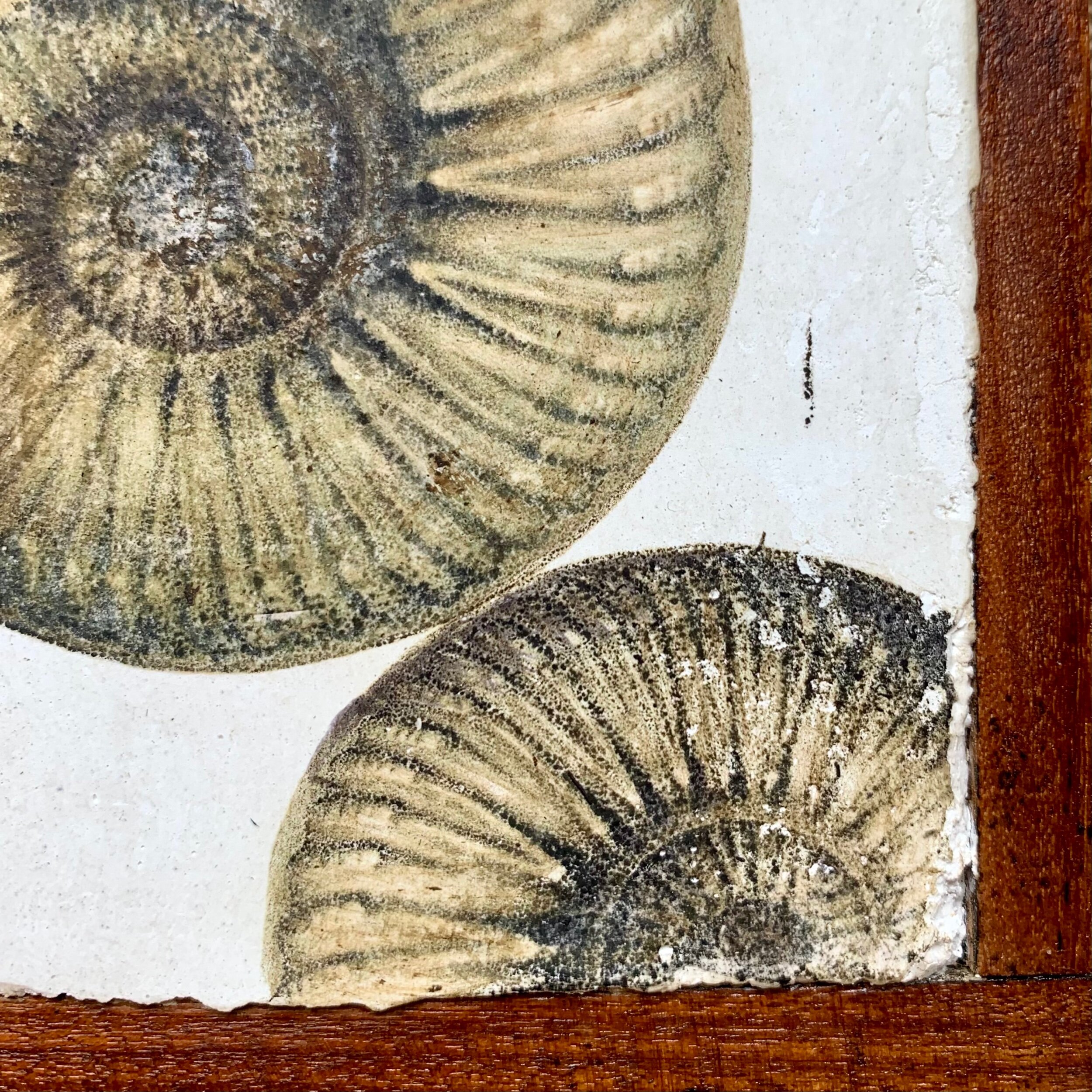 F1D0F2CC-39C8-4CA5-9C12-12D3047B02B0