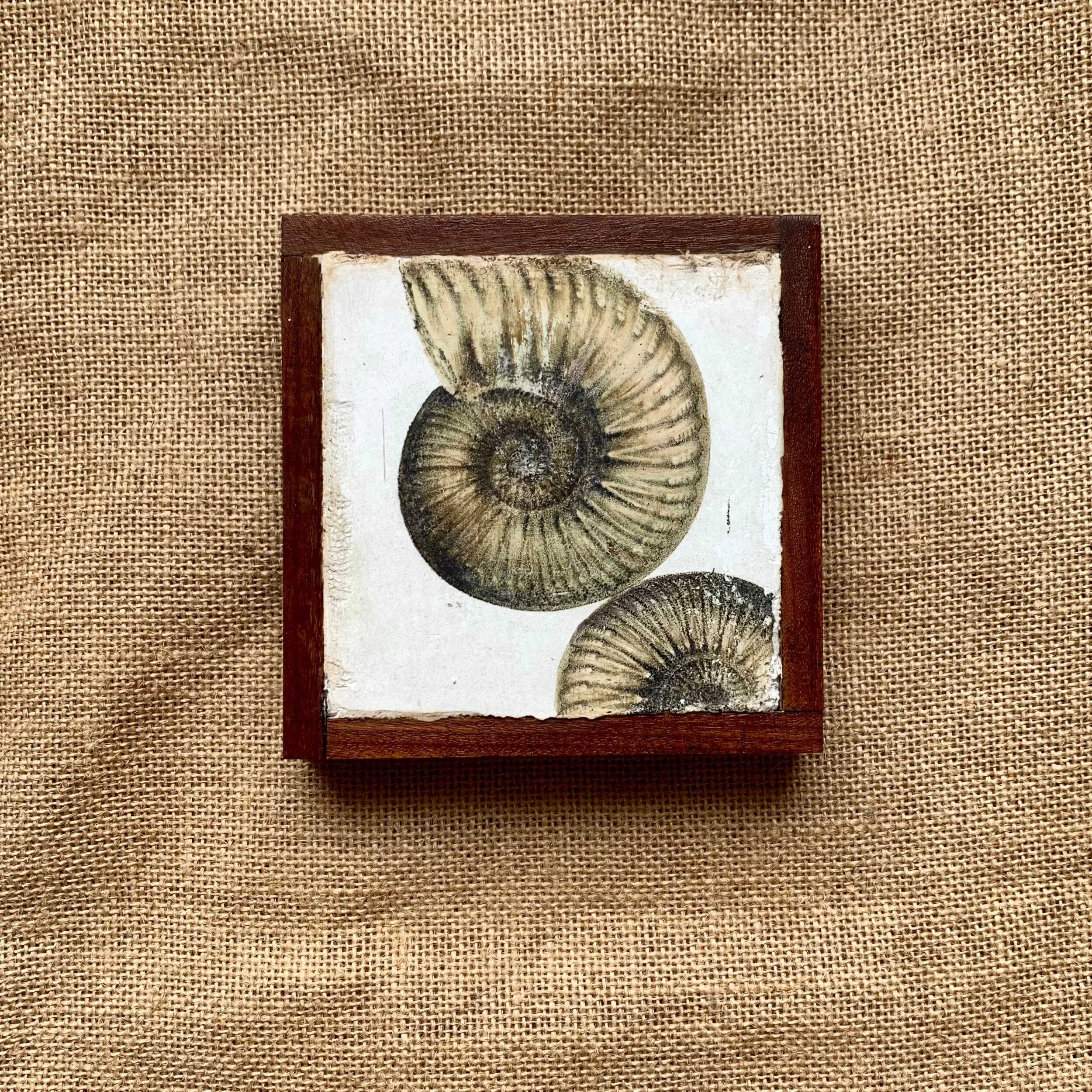 6E407E89-ED36-4905-8874-85AC8F3FAD15