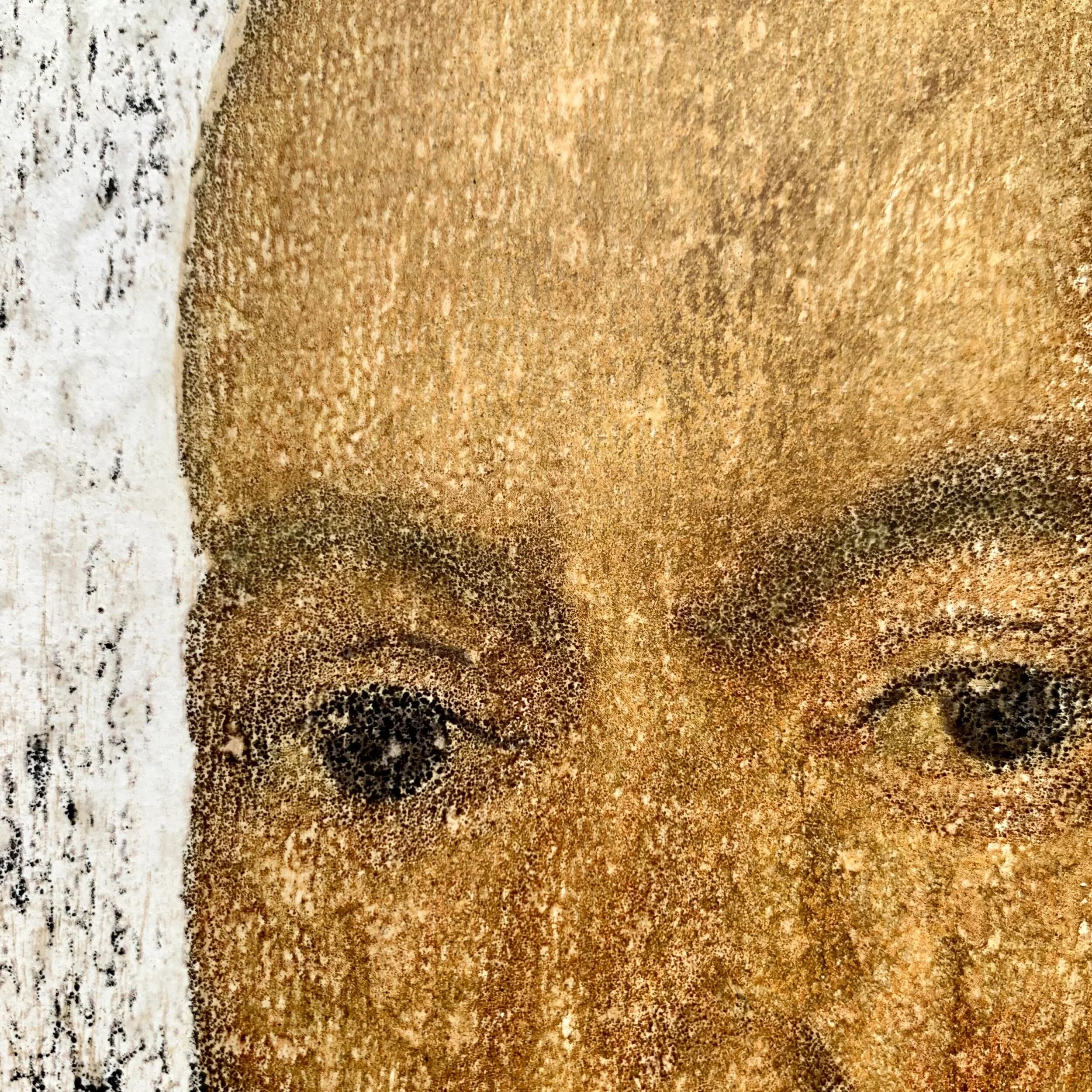 A0075355-3AF0-43D7-836A-96C6ACA26998