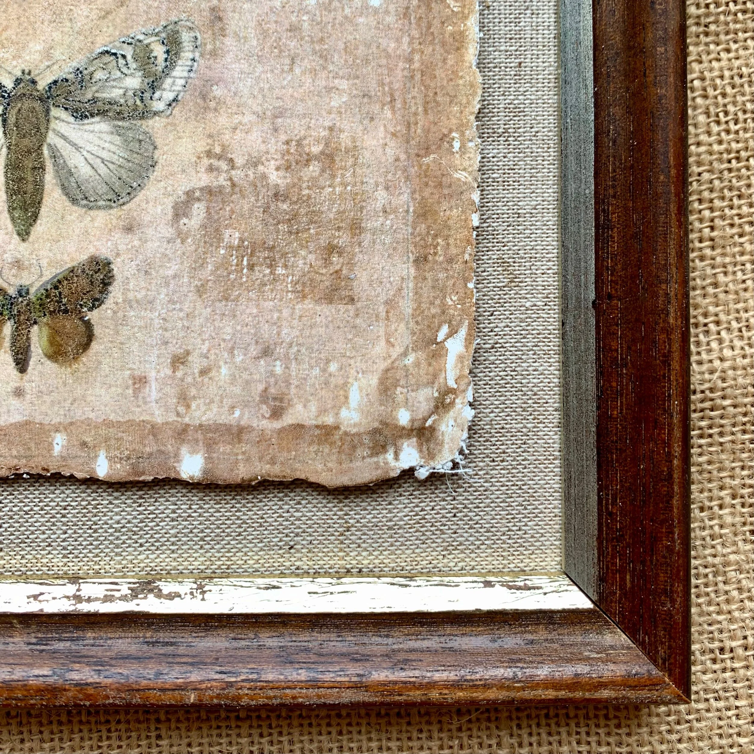 E303D0AE-9AB4-47D3-BFC2-8B47482EF08C