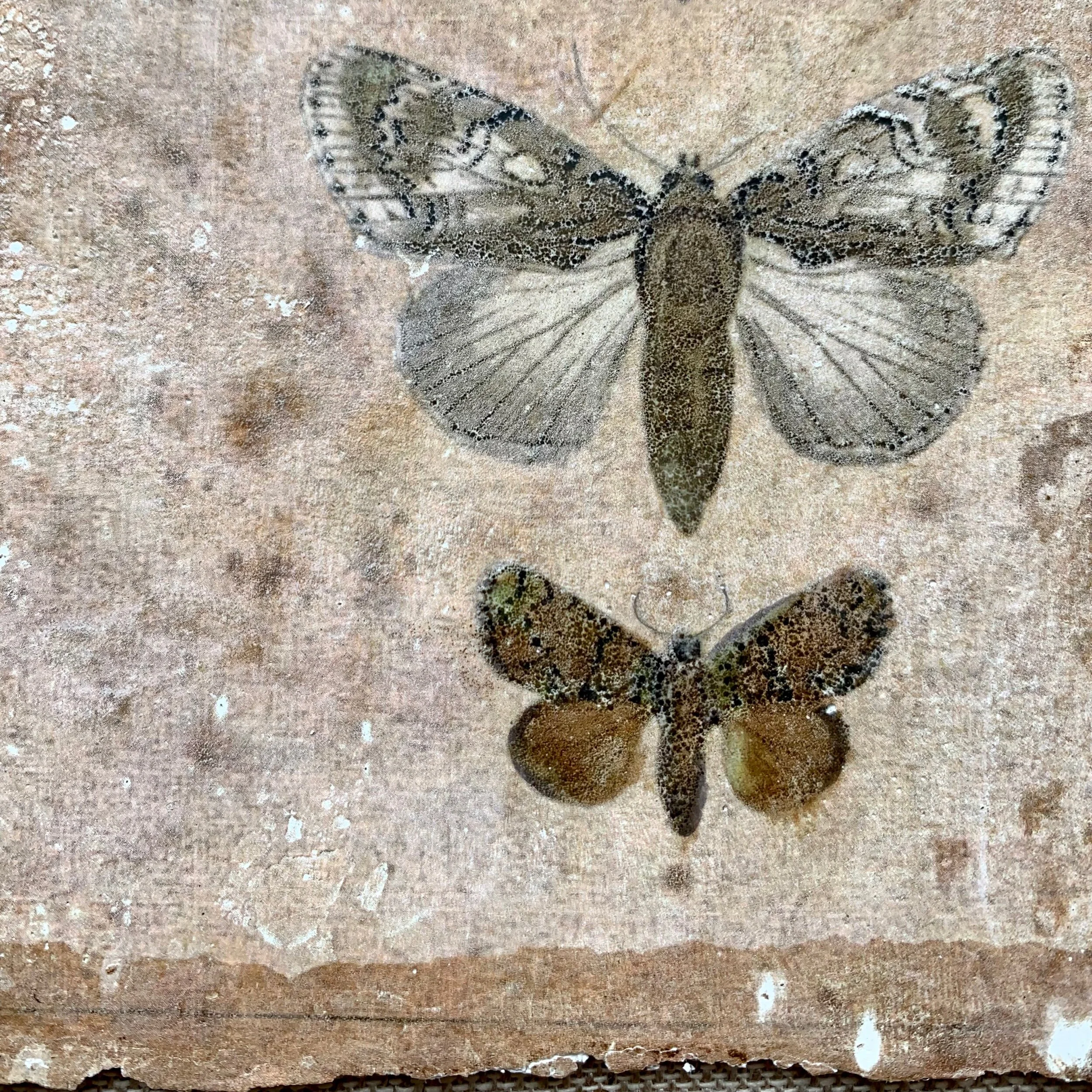 2620EBA5-D0D2-4FF7-AF40-C5CA5723DE0C