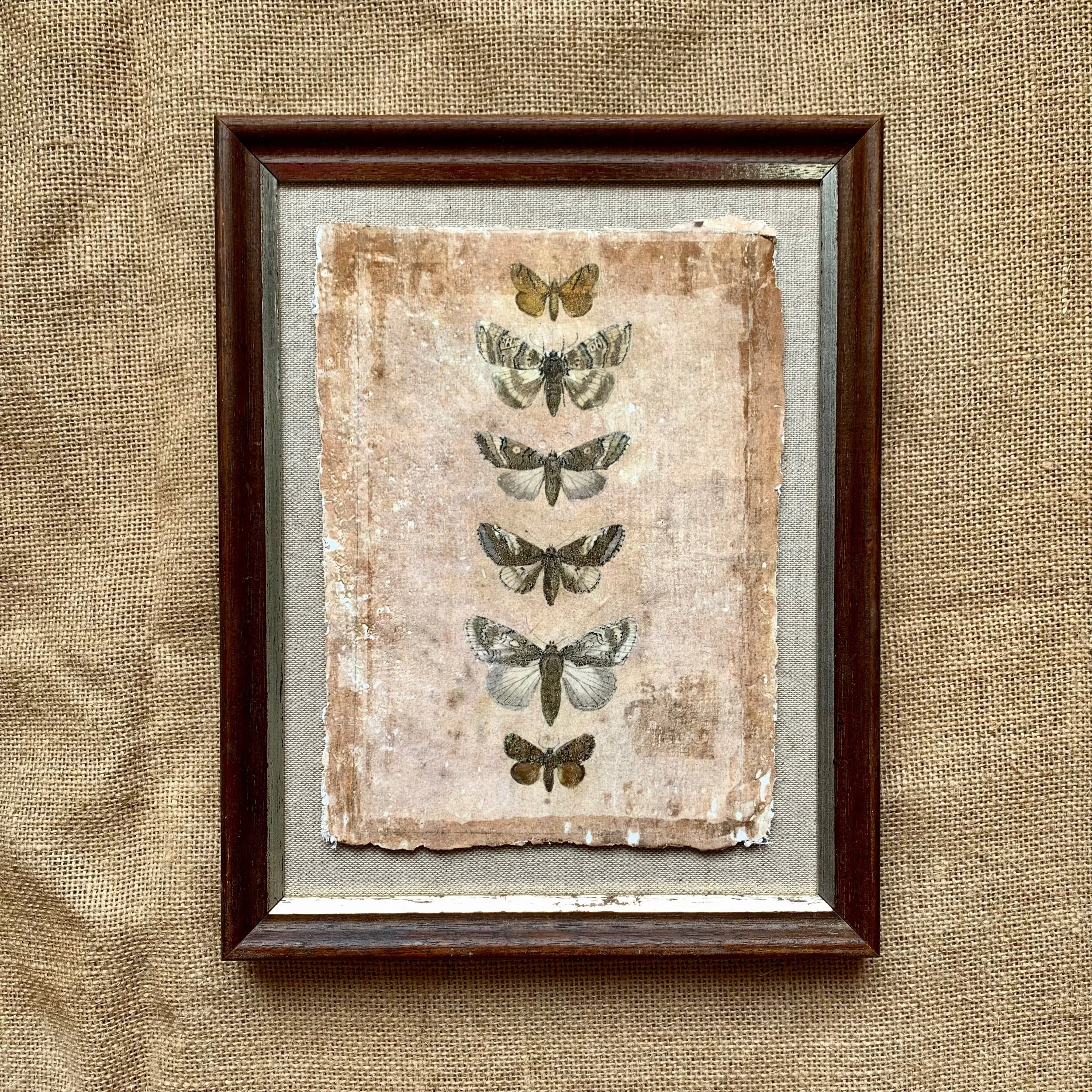 4E1B6B73-612F-412F-ABA8-83BC3055FCA9