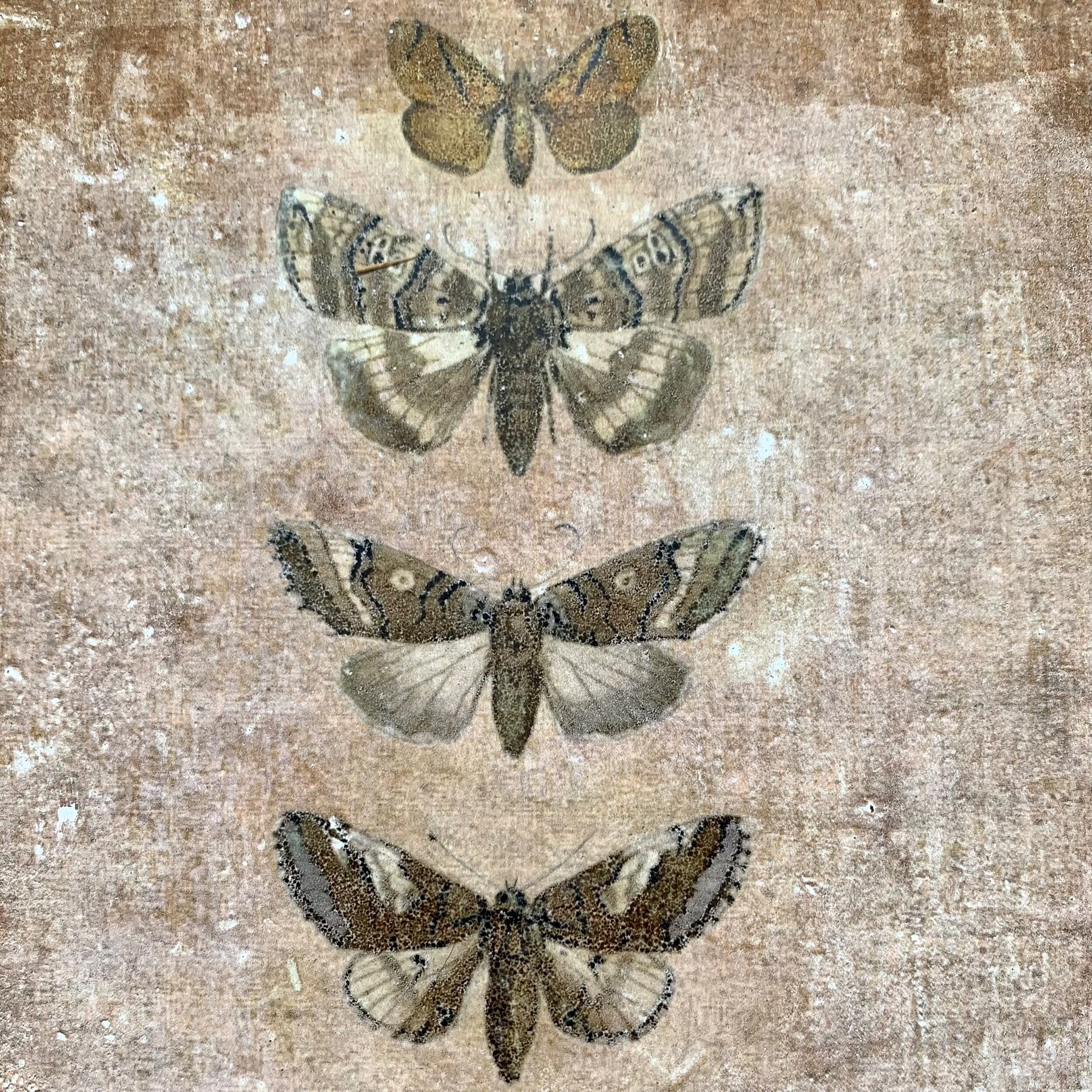 F6995ED4-C62E-4FBA-888E-6B464595C233