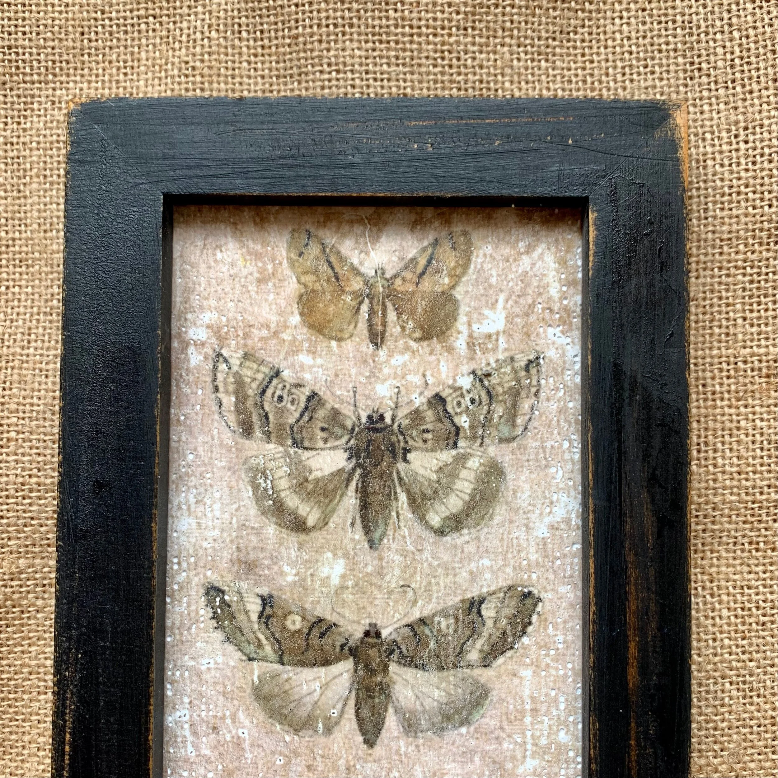 E1E4F89D-C648-40AB-A59B-926B020F39B3