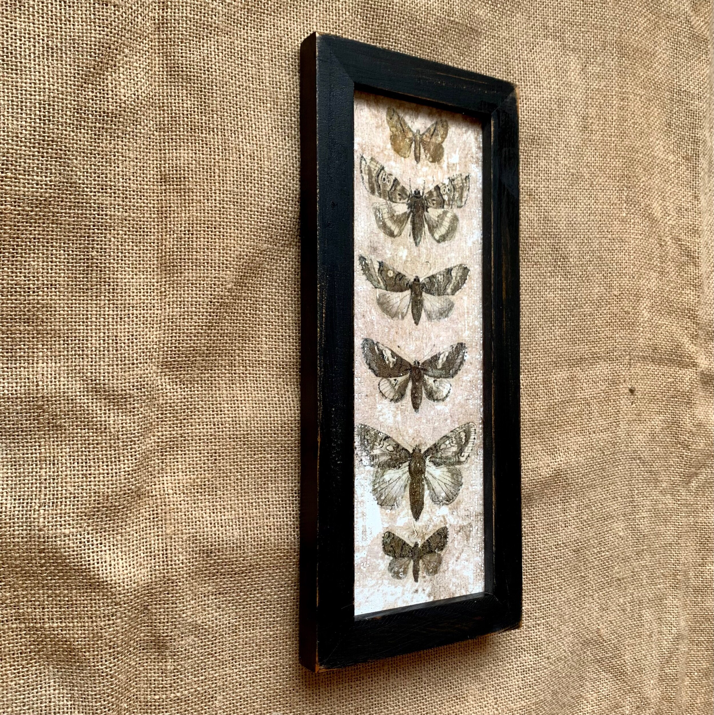 3584C6F3-0891-405A-9EFF-662DC63F6485