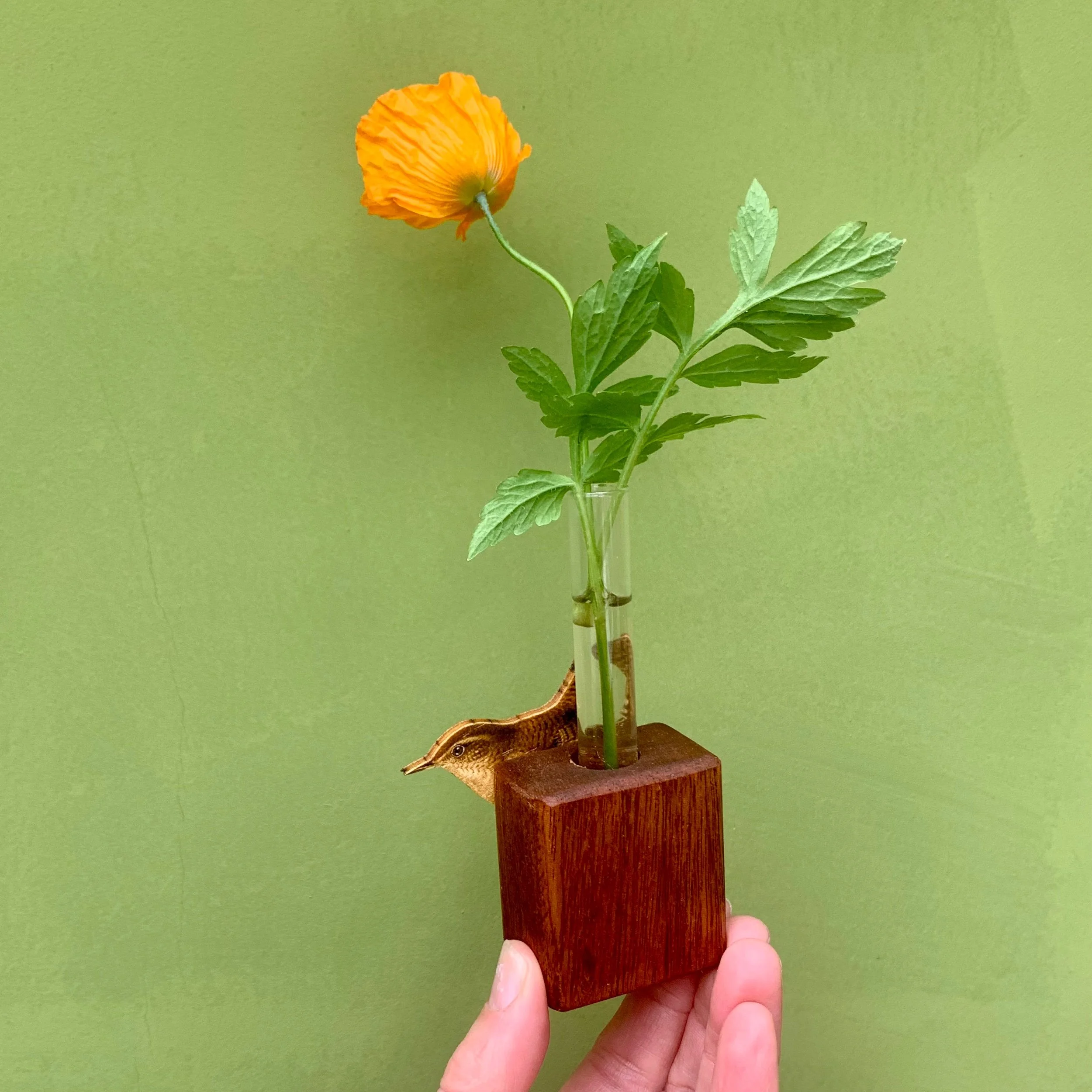 389281A9-4B66-482F-98CB-A1E7C843117F