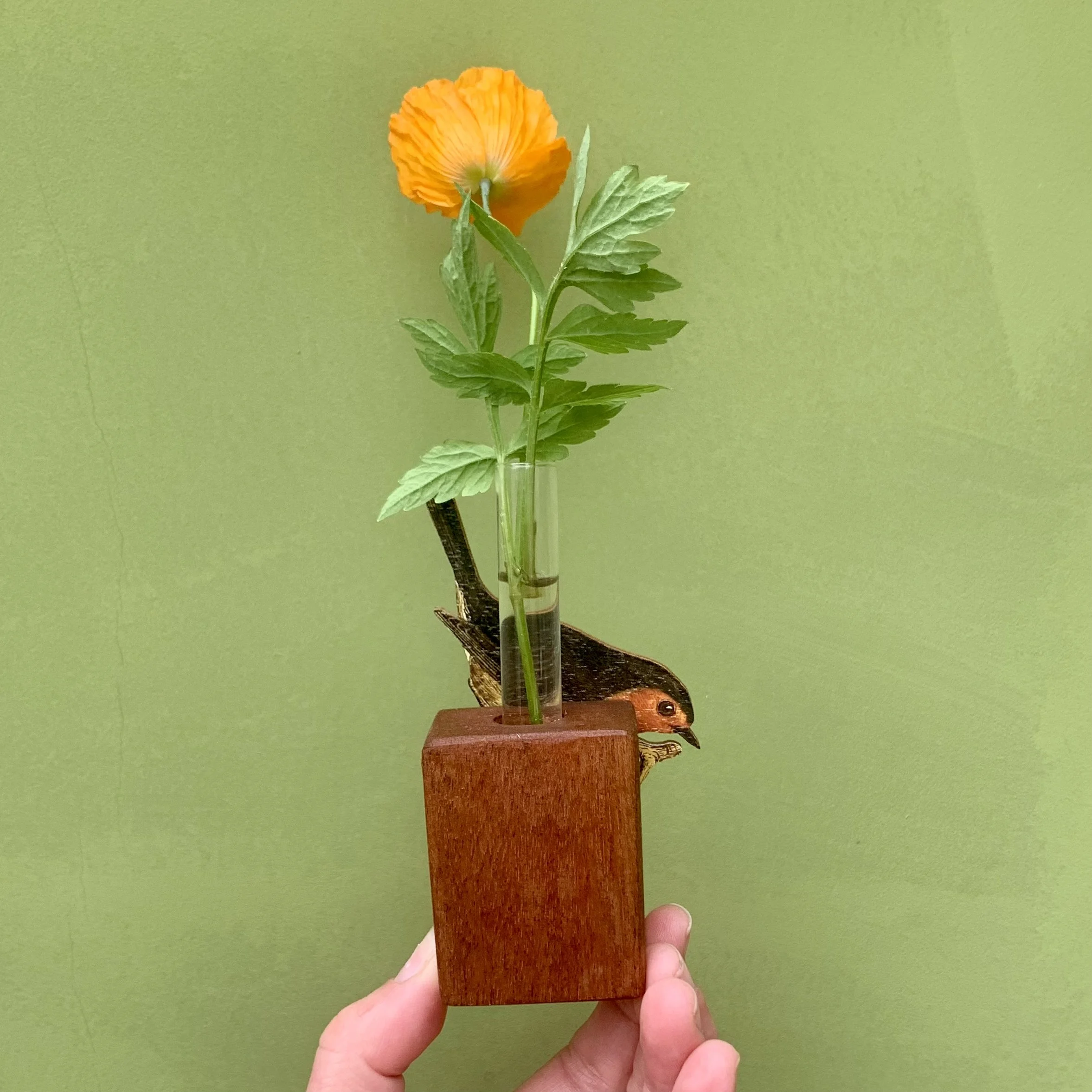 7E16756D-641B-41C9-8AE1-7DA01F14D0D0