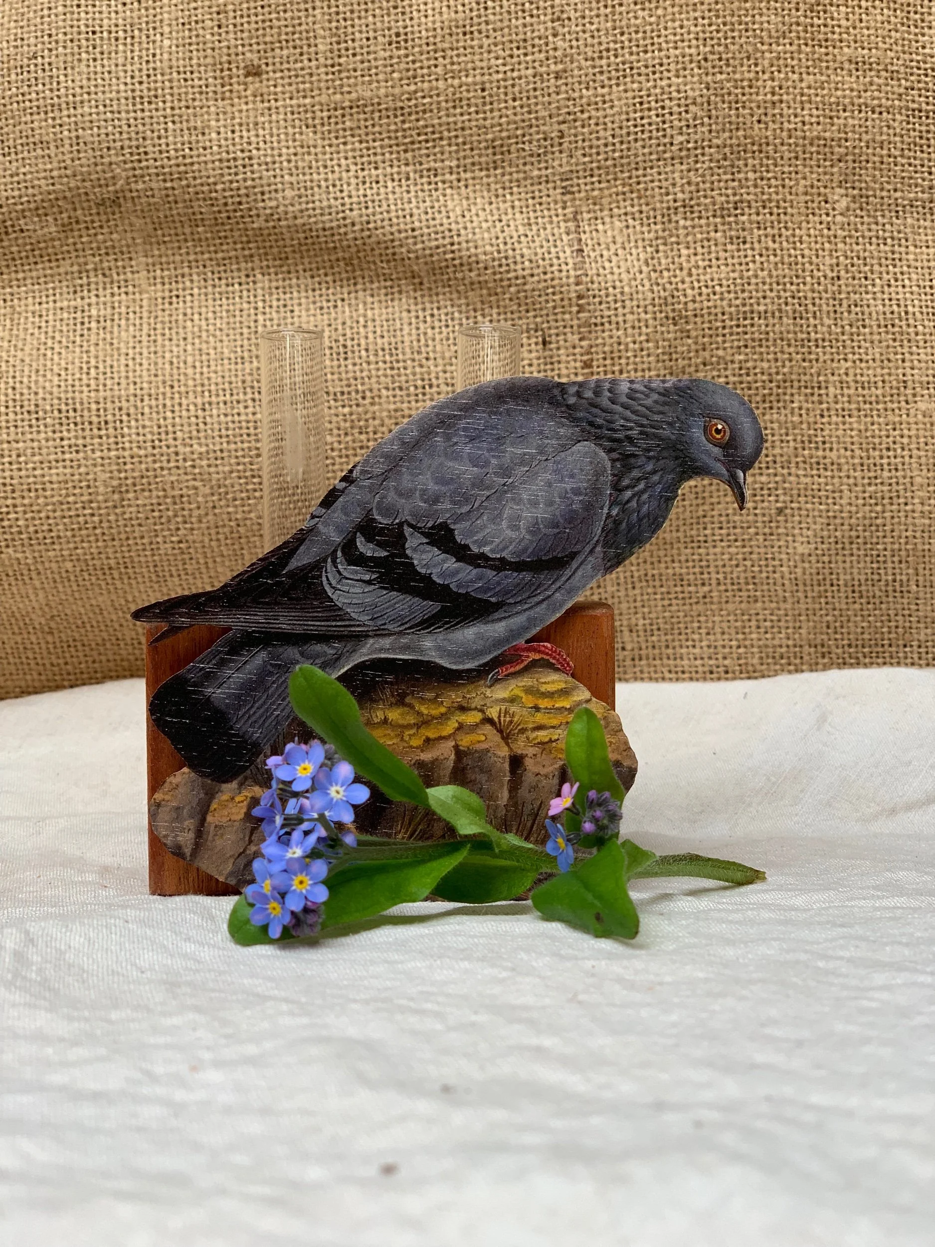 B088171C-DBB5-4407-B497-34C2A7DDB6E2