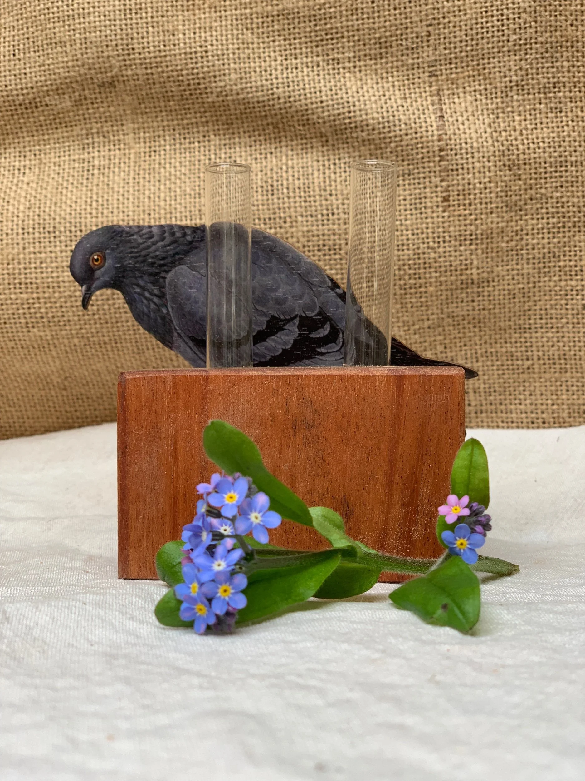 900AEA0E-A63C-4D73-965B-83C0711F6A63