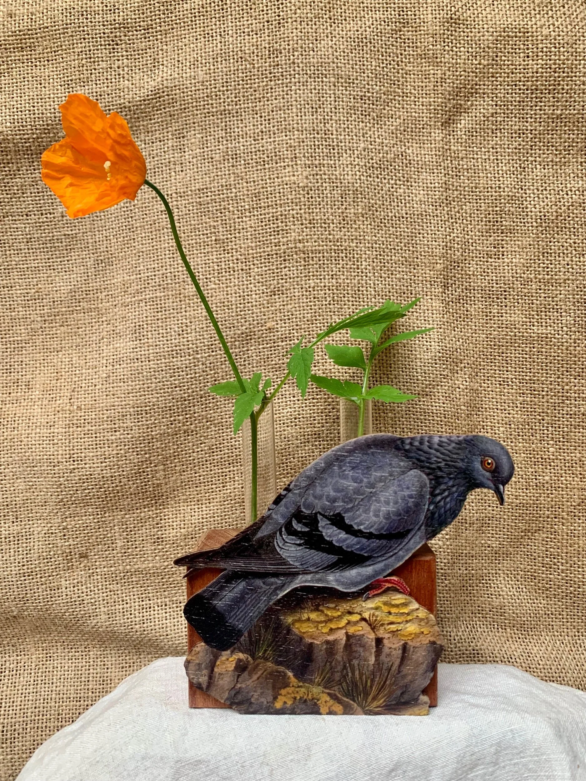 98F9A651-2353-45B5-B904-72058DDBA538