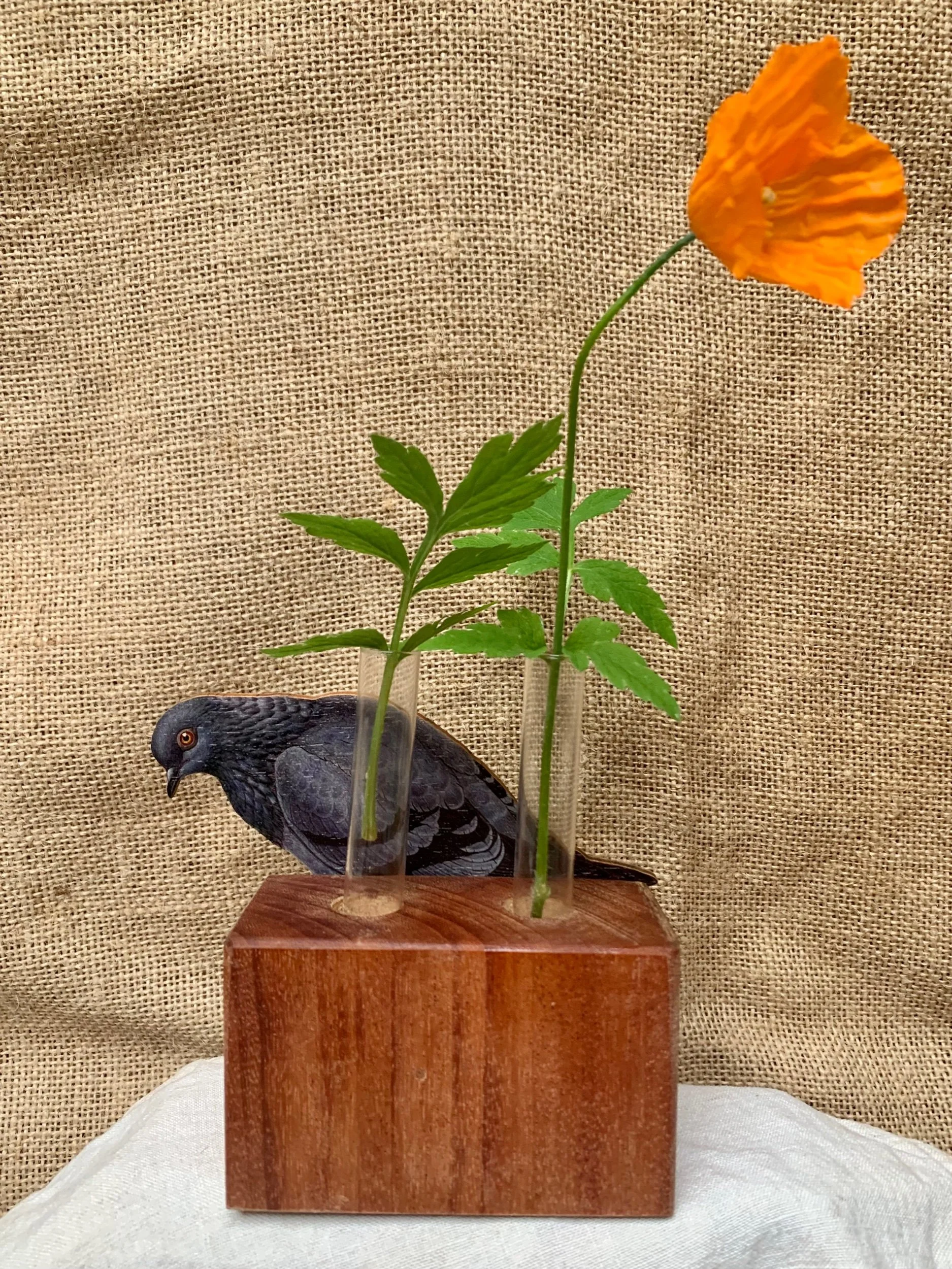 3CF8C5B8-9442-469A-8F7E-1A085EF50040