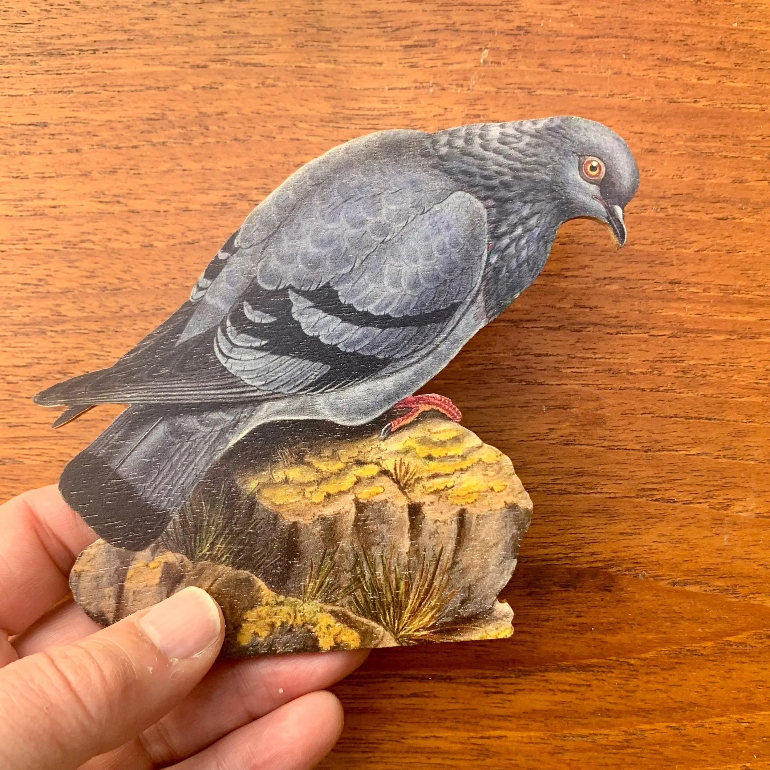 22835EE5-79BF-4967-91DD-4E716A2C0A6B