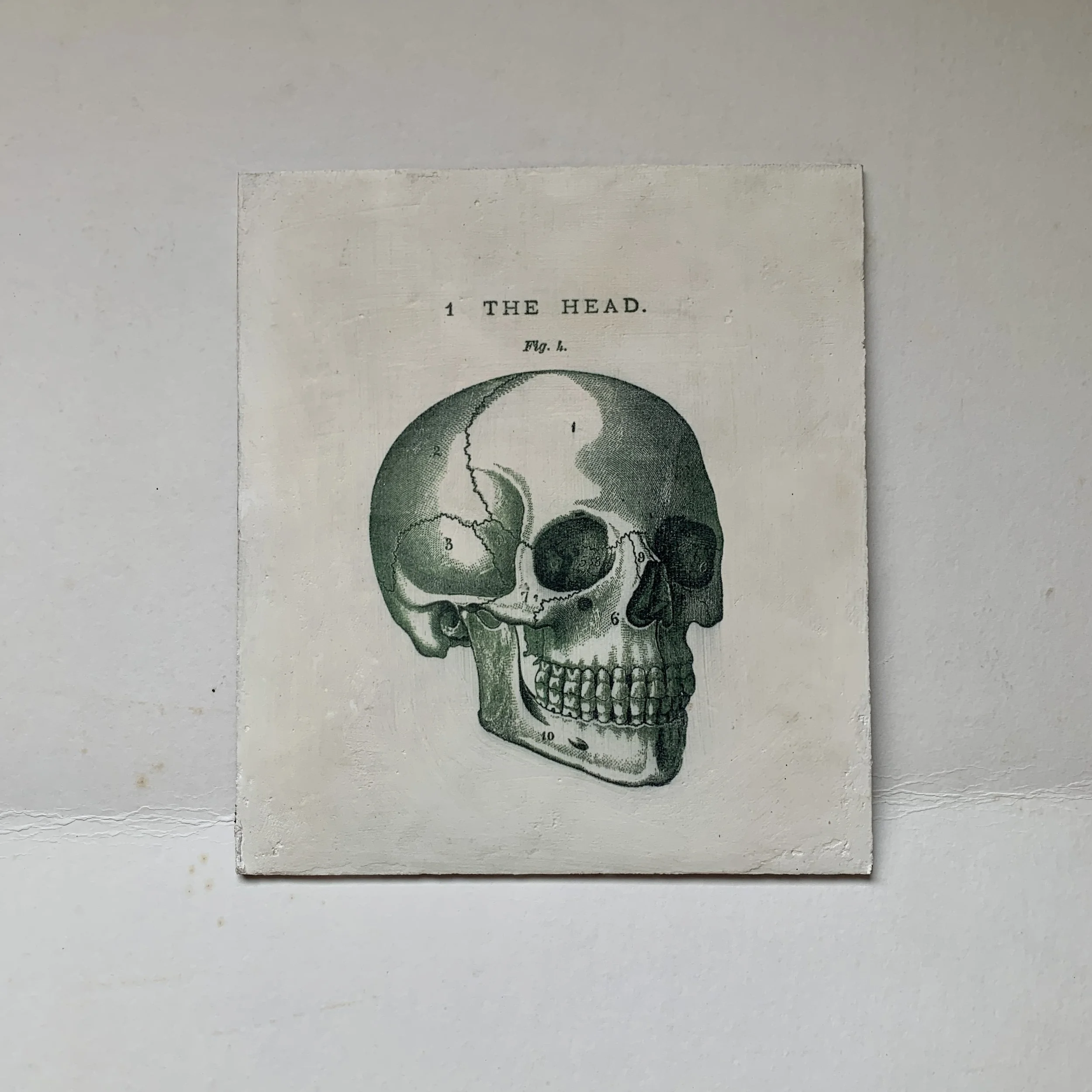 For the medical professionals...