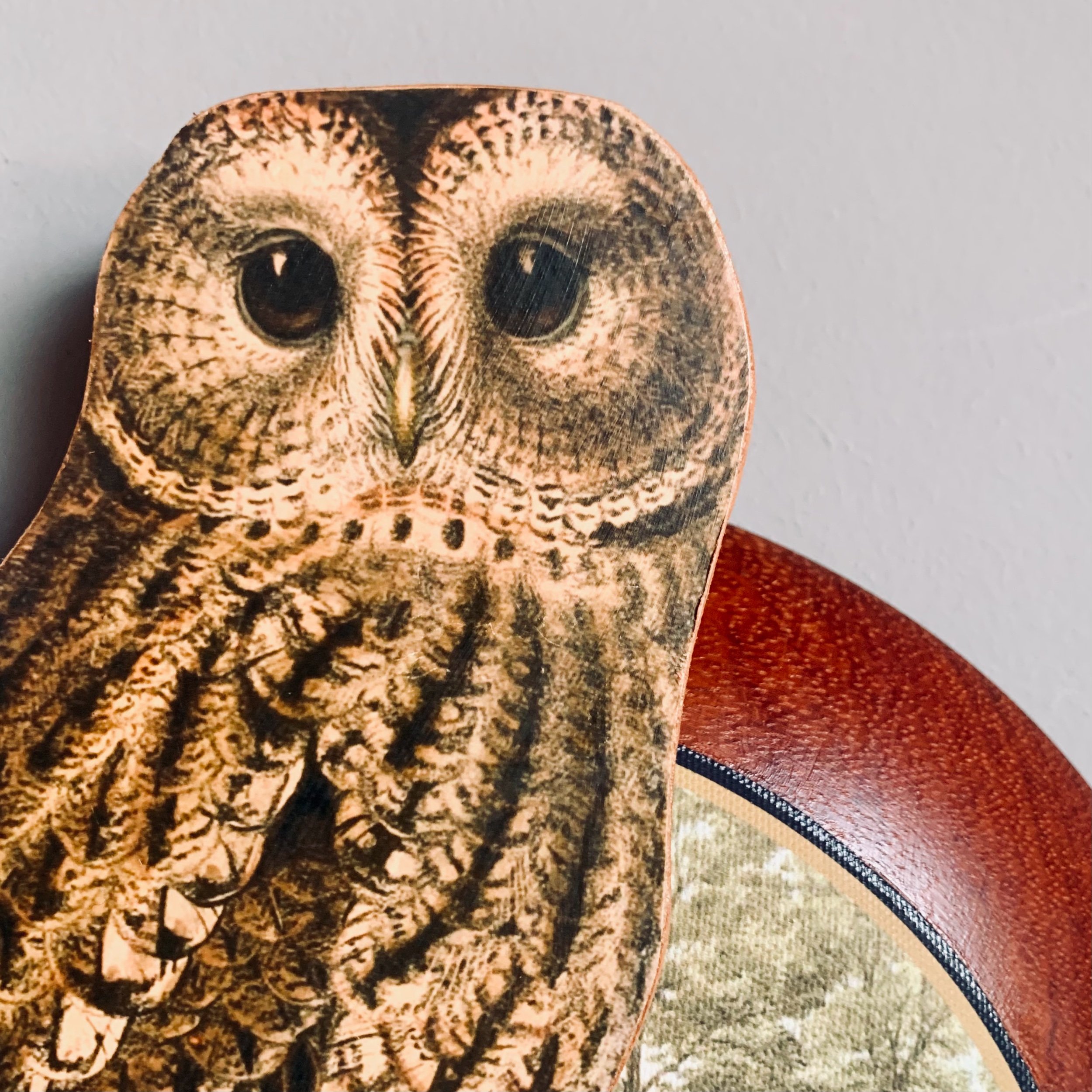 tawny owl wall art.jpeg