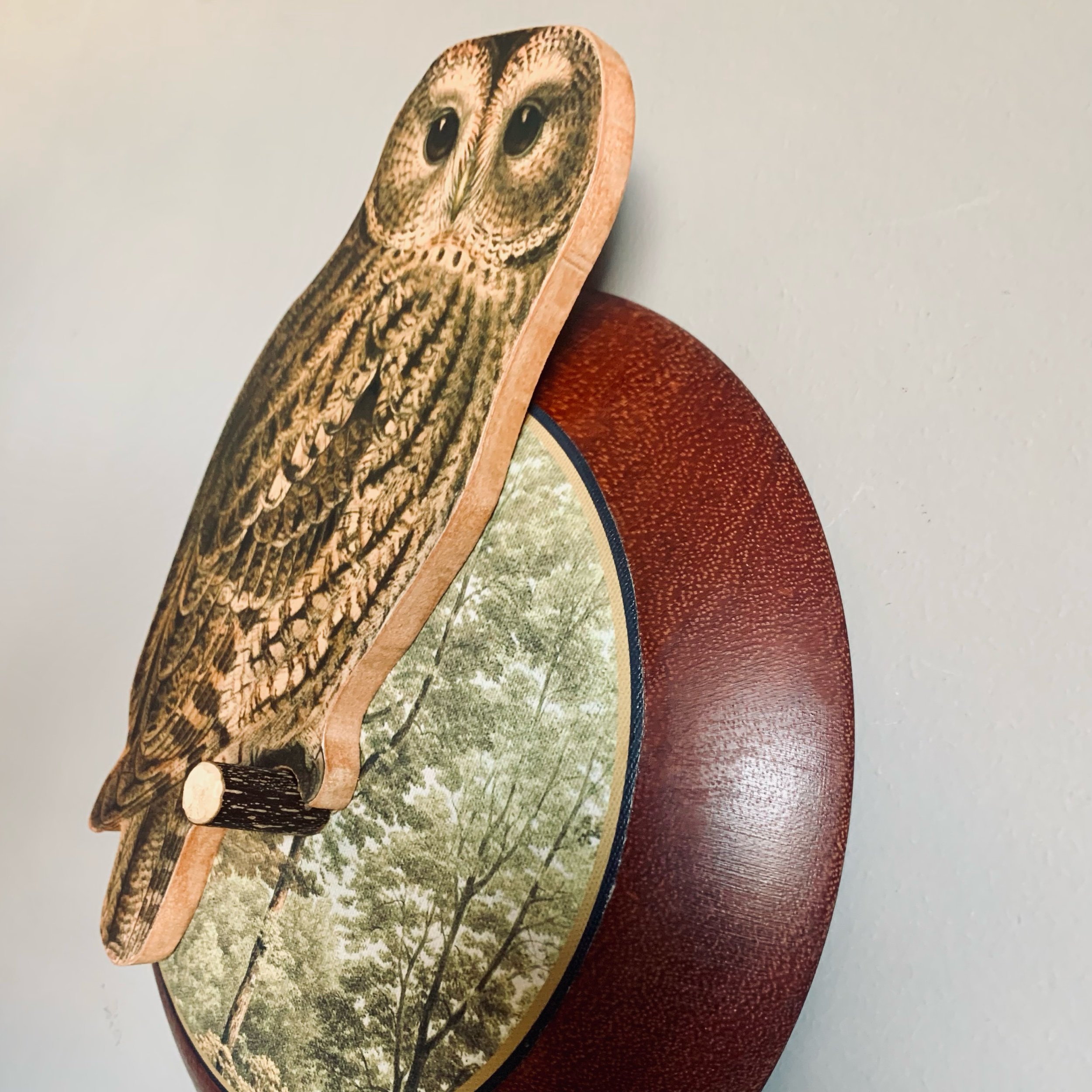tawny owl wall art.jpeg
