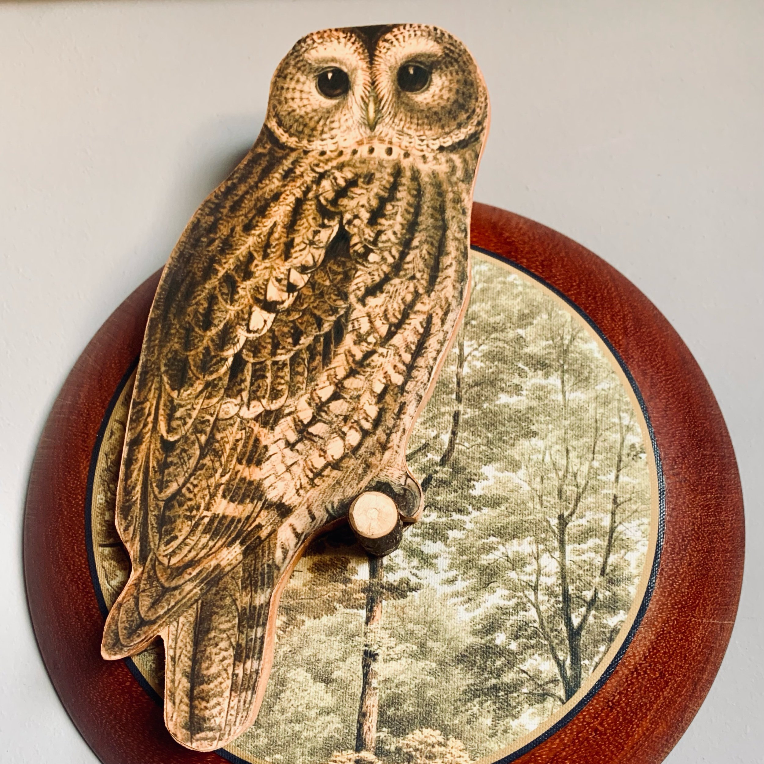 tawny owl wall art.jpeg