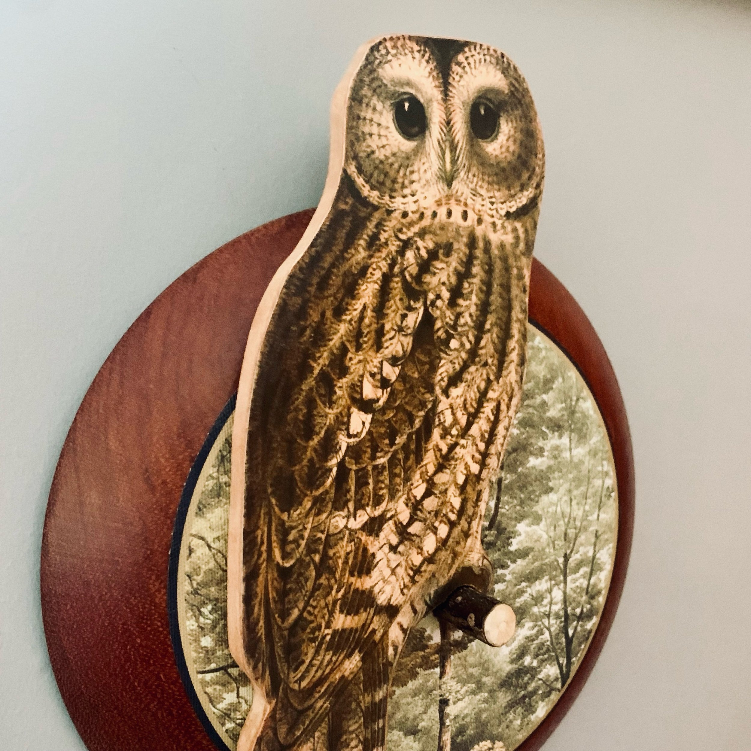 tawny owl wall art.jpeg