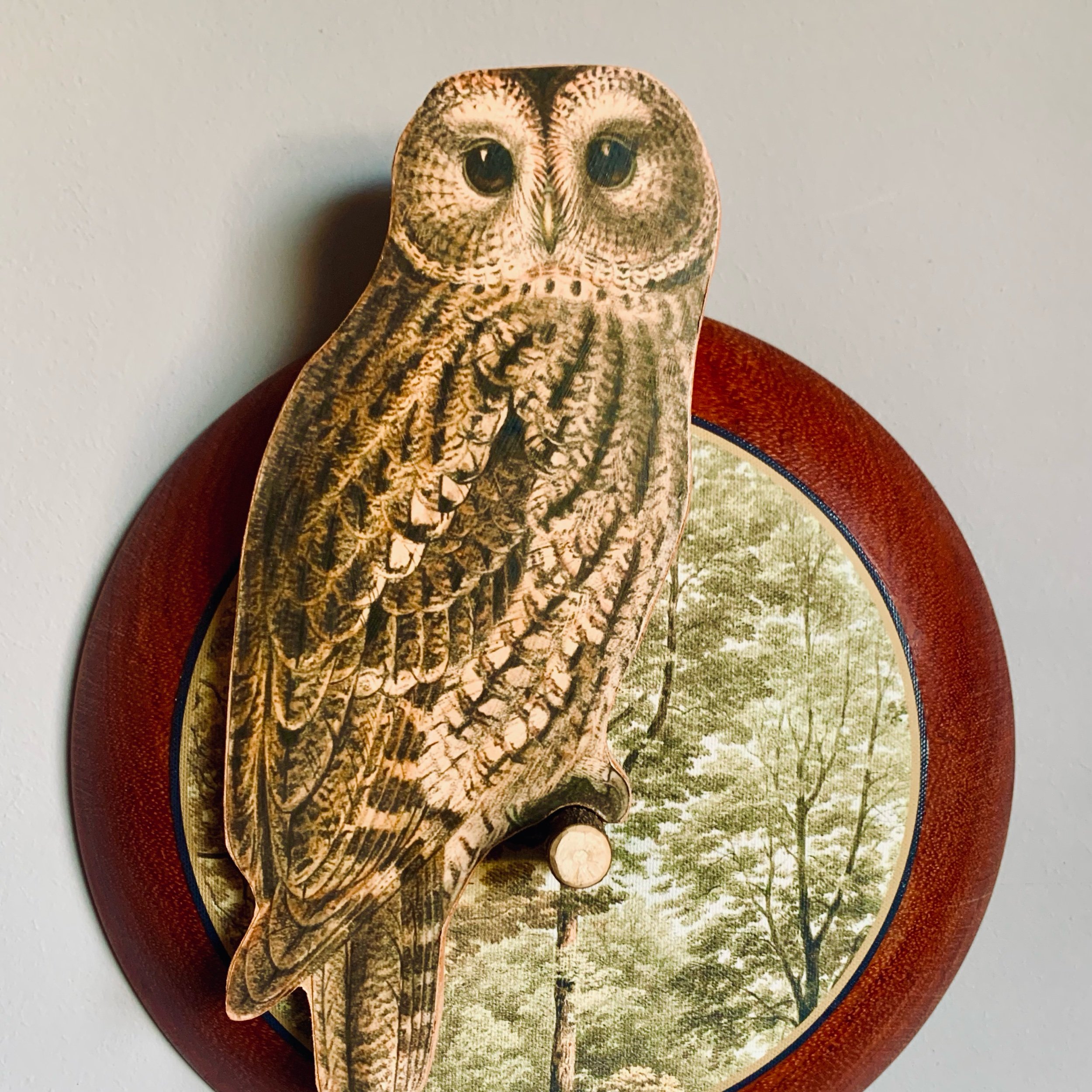 tawny owl wall art.jpeg