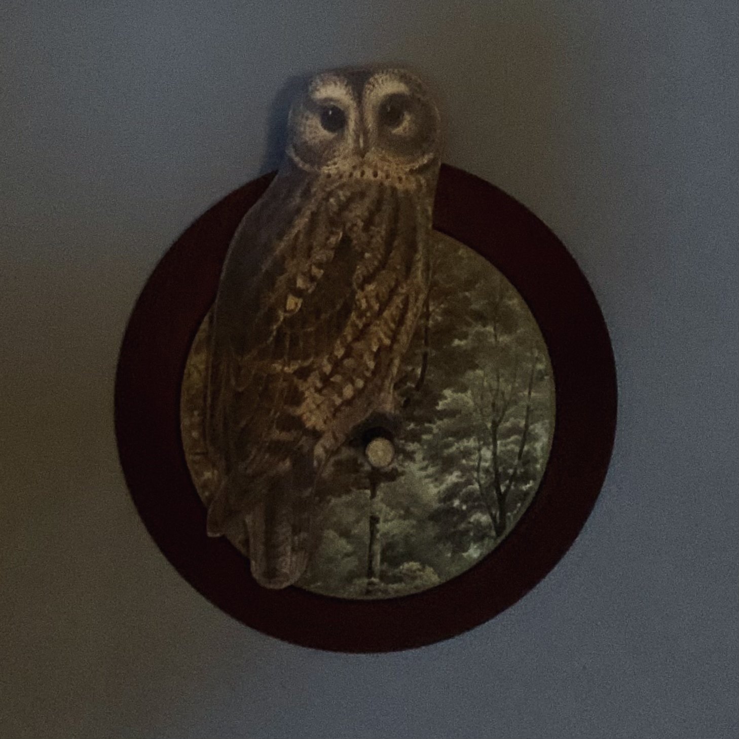tawny owl wall art.jpeg