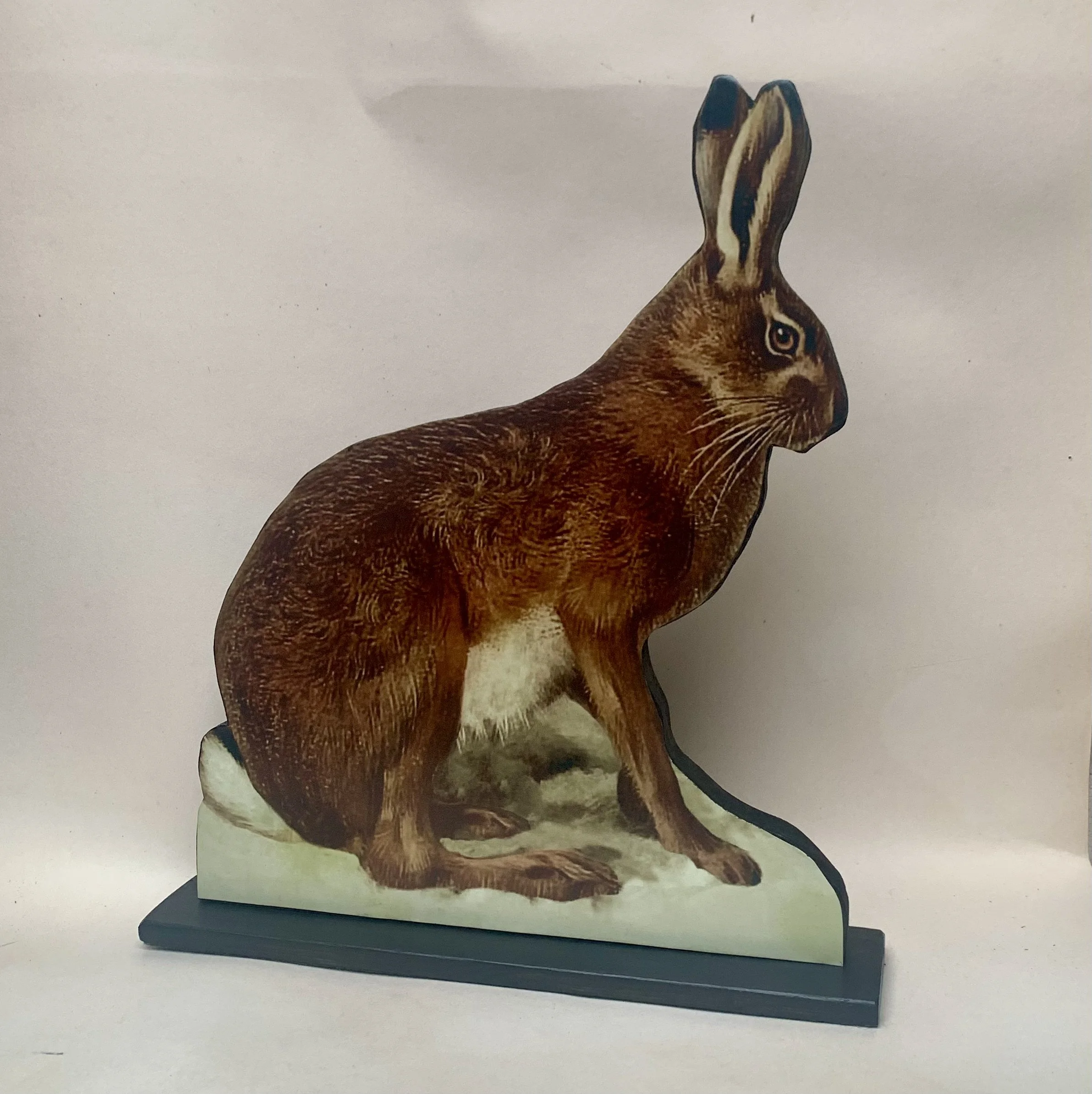 hare cutout dummy board.jpeg