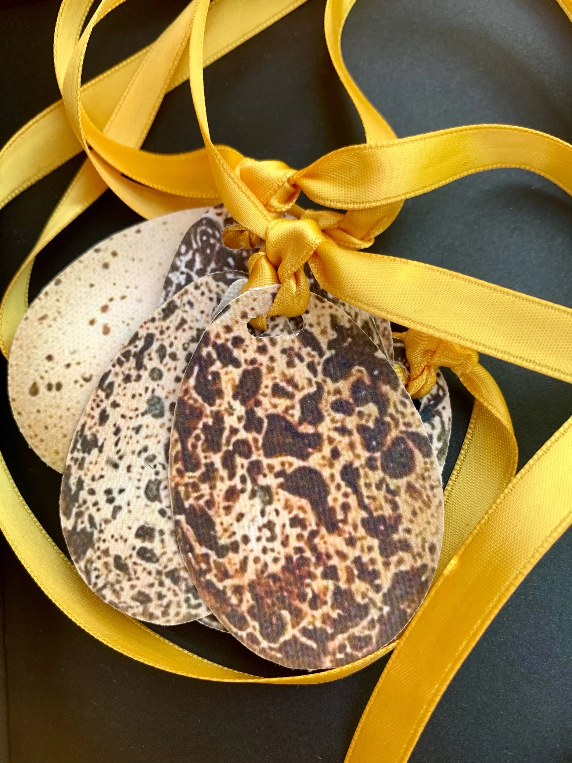 speckled egg napkin ties.jpeg