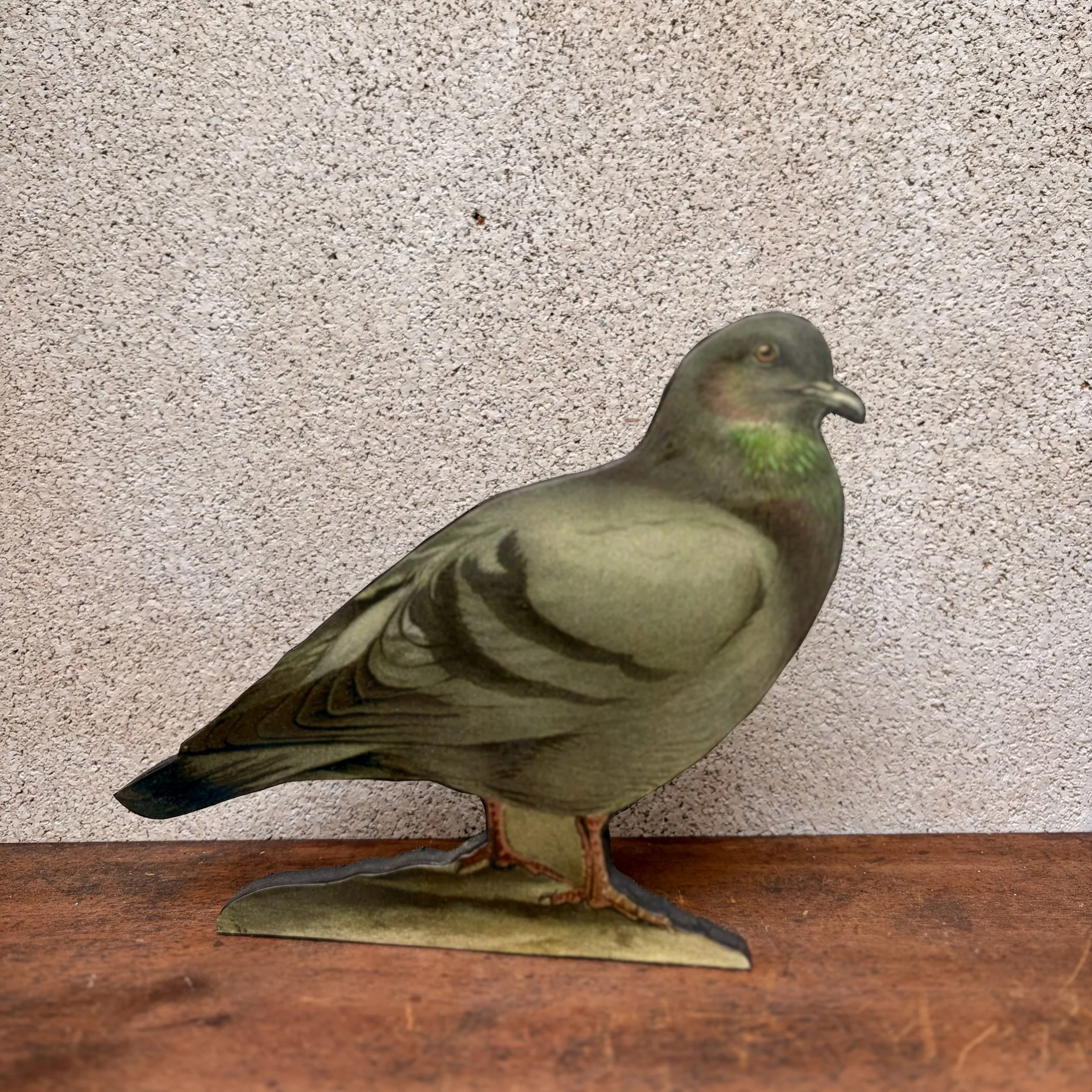 03601621-7A7E-4C77-BB5C-60C054B1A8EF.jpeg
