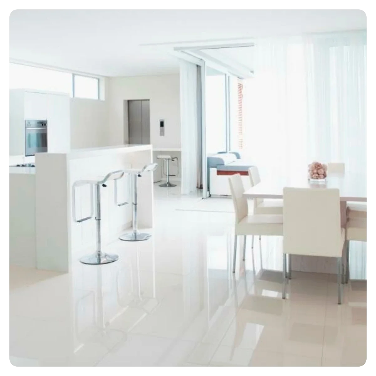 Ant Invasions In Your Home: Everything You Need to Know