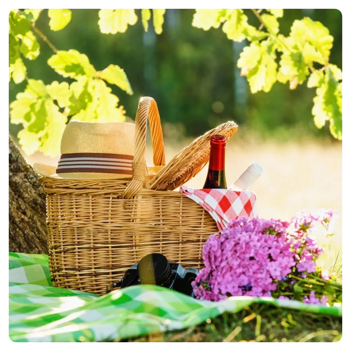 Luxury London Picnics: How to Eat Al Fresco in Style
