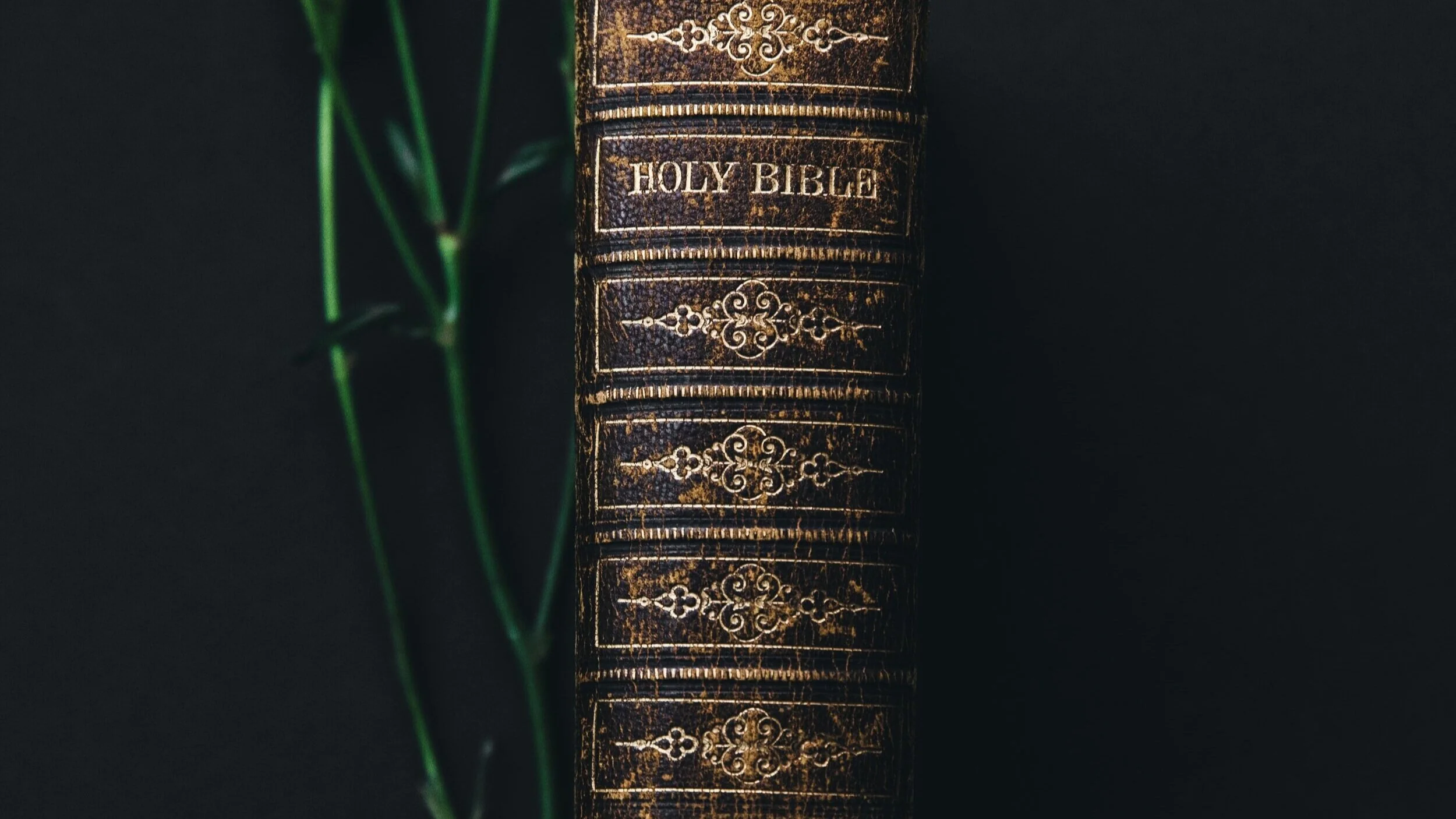 Readings and Collect for Sunday, June 28