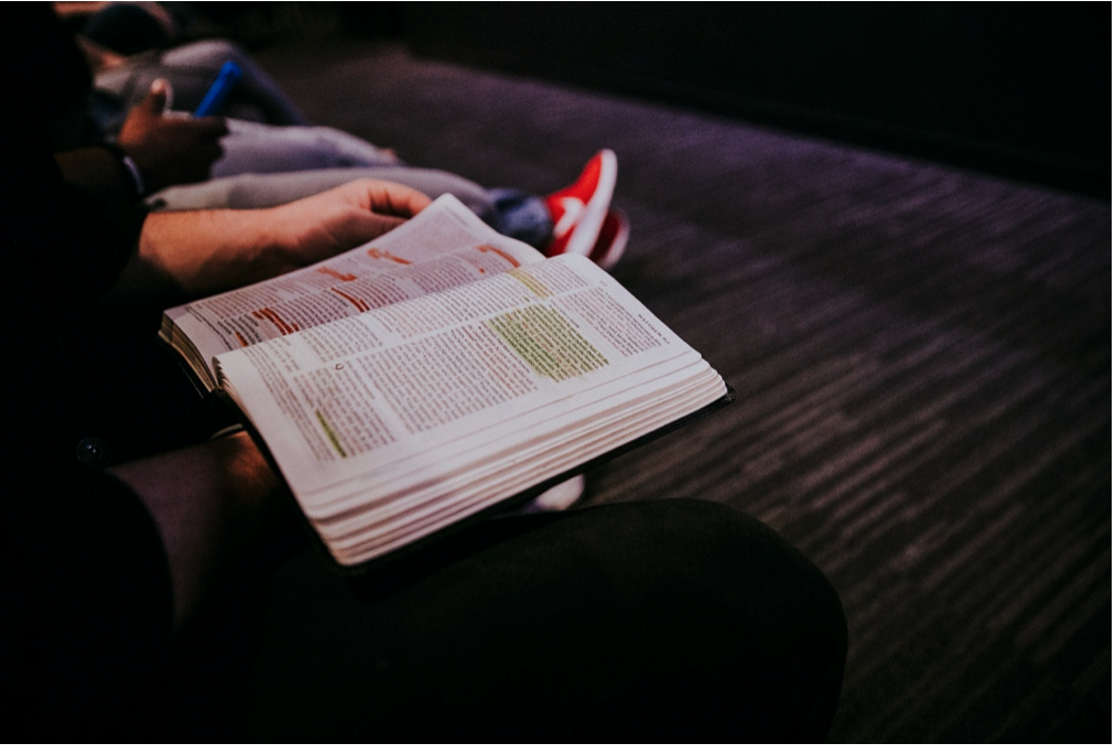 The Newsletter - July 16, 2020