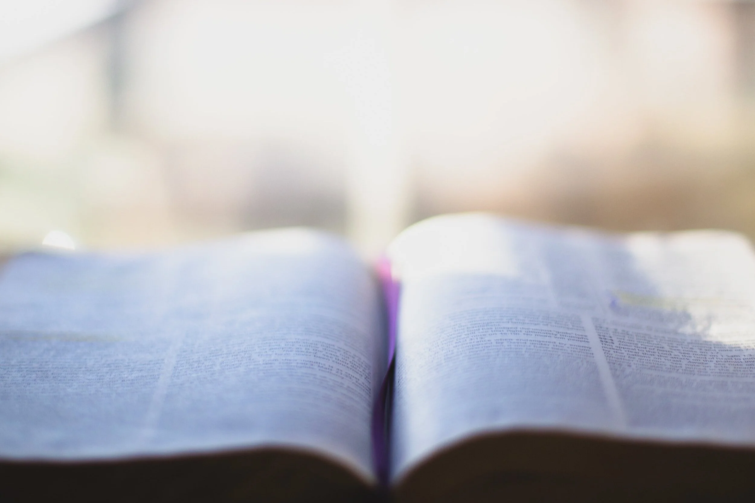 Readings and Collect for Sunday, September 13