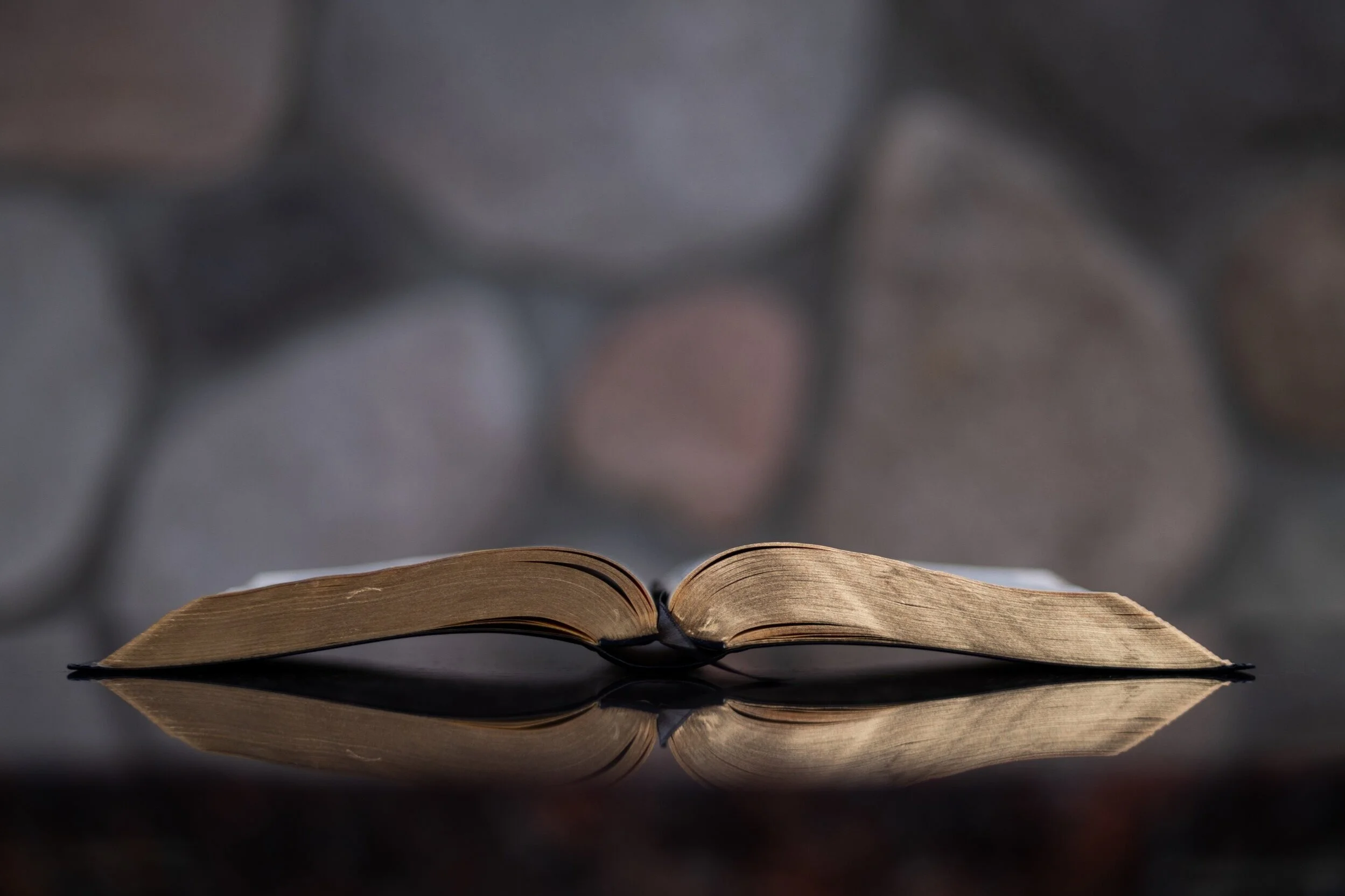 Readings and Collect for Sunday, September 20