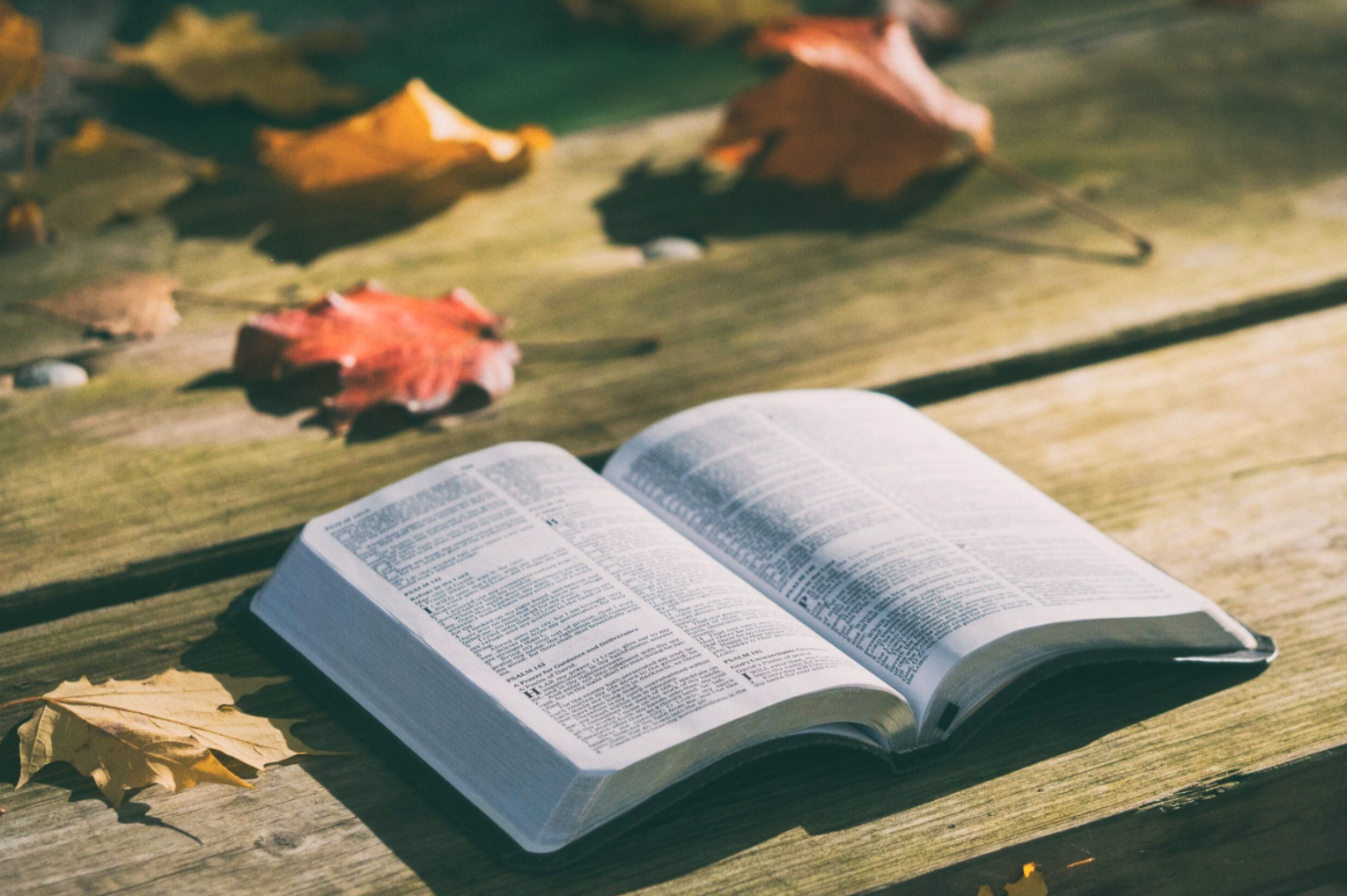 The Newsletter - September 31, 2020