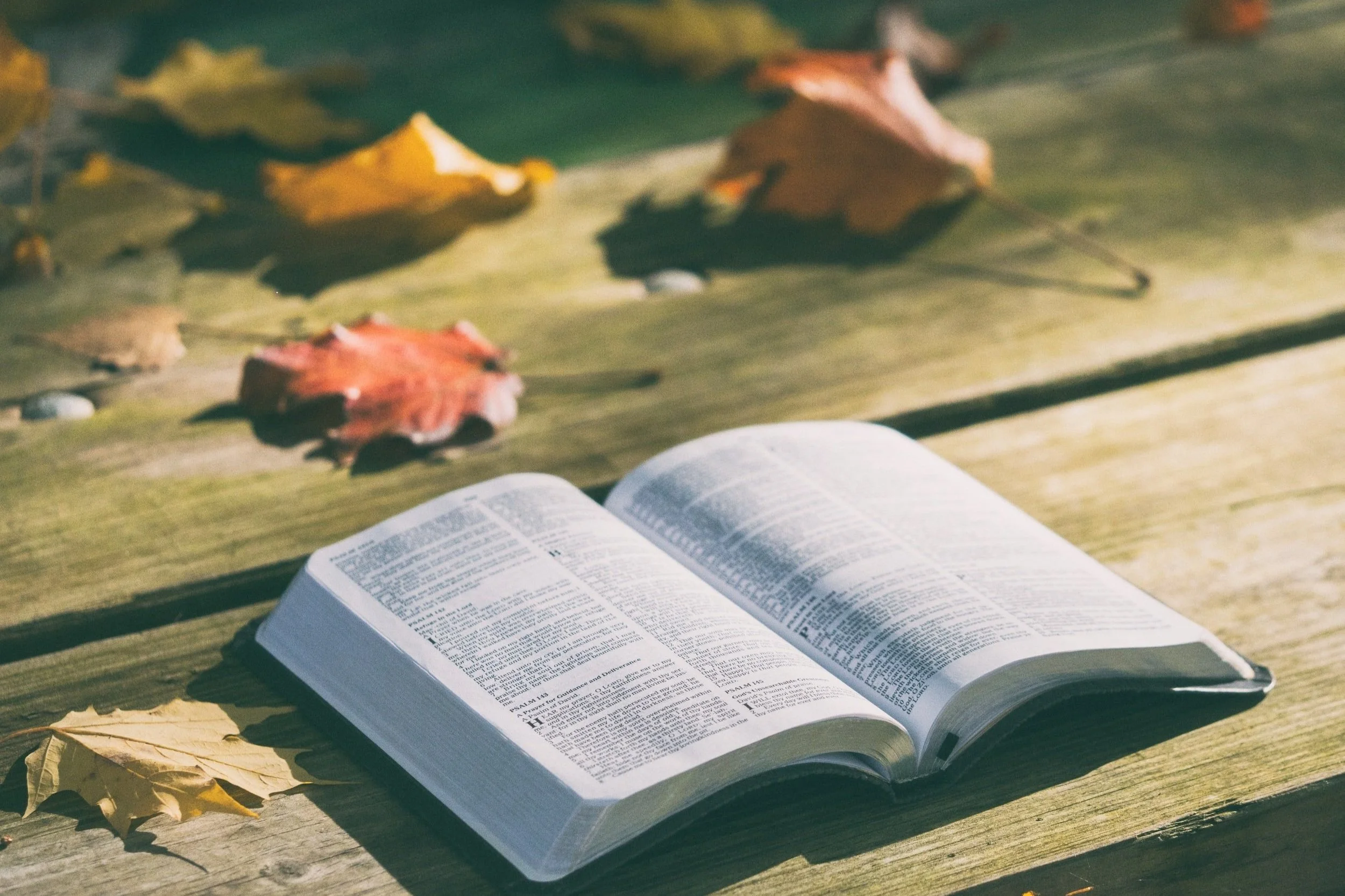 Readings and Collect for Sunday, September 18