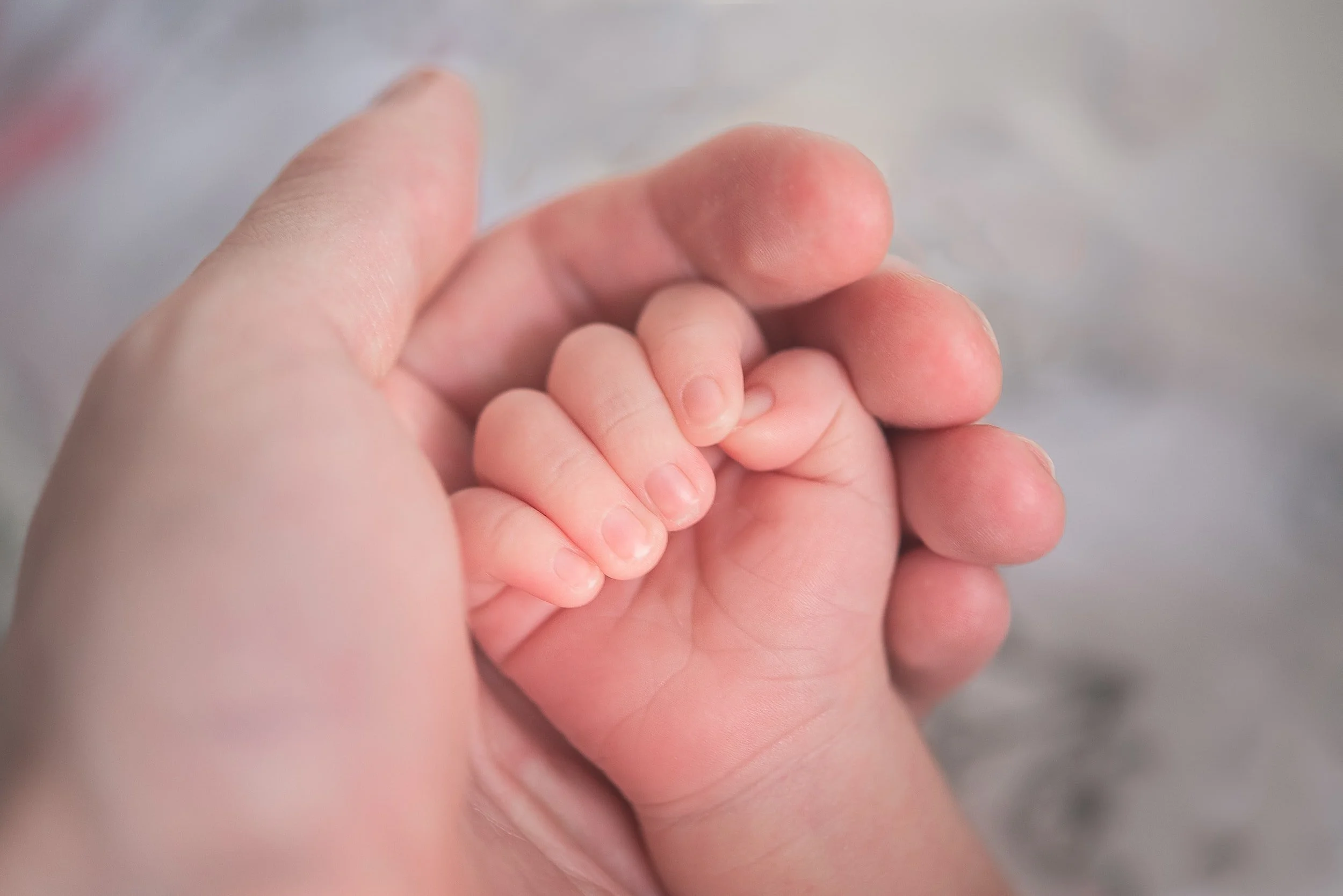 Sanctity of Life Resources 