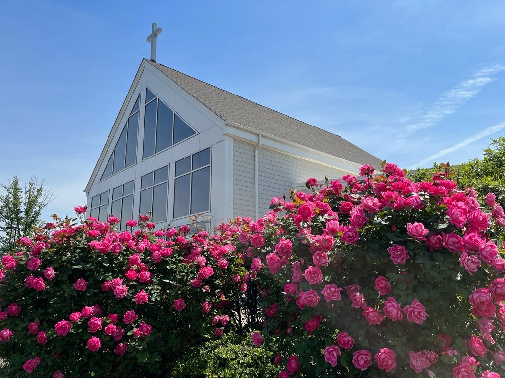 new banner summer 23.jpeg