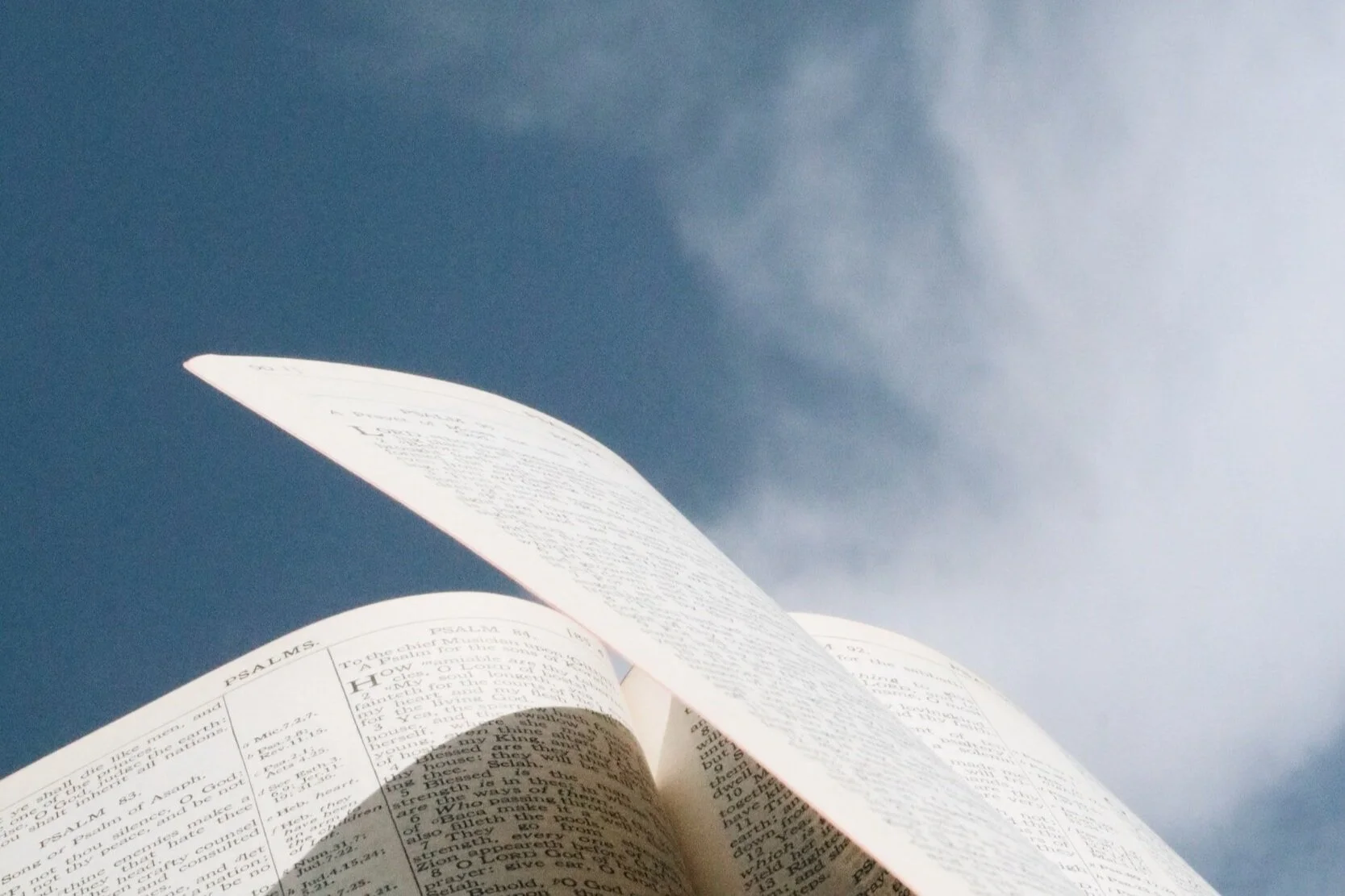 Readings and Collect Sunday, July 30